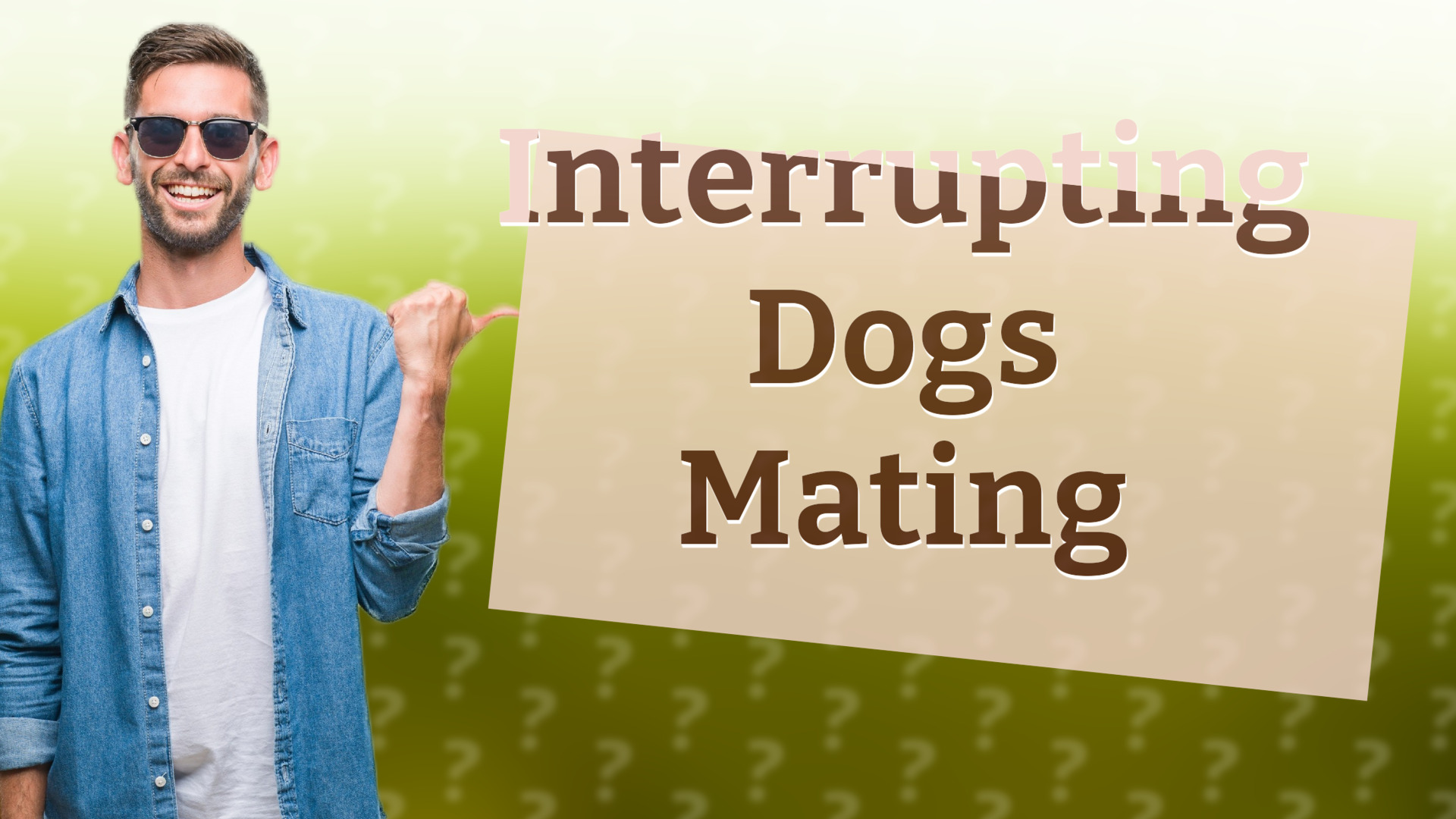Interrupting Dogs Mating