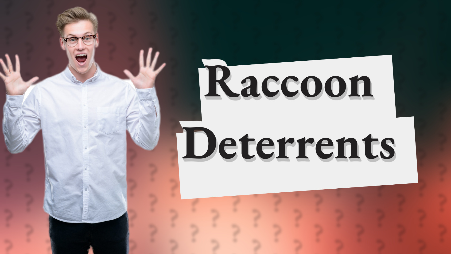 Raccoon Deterrents