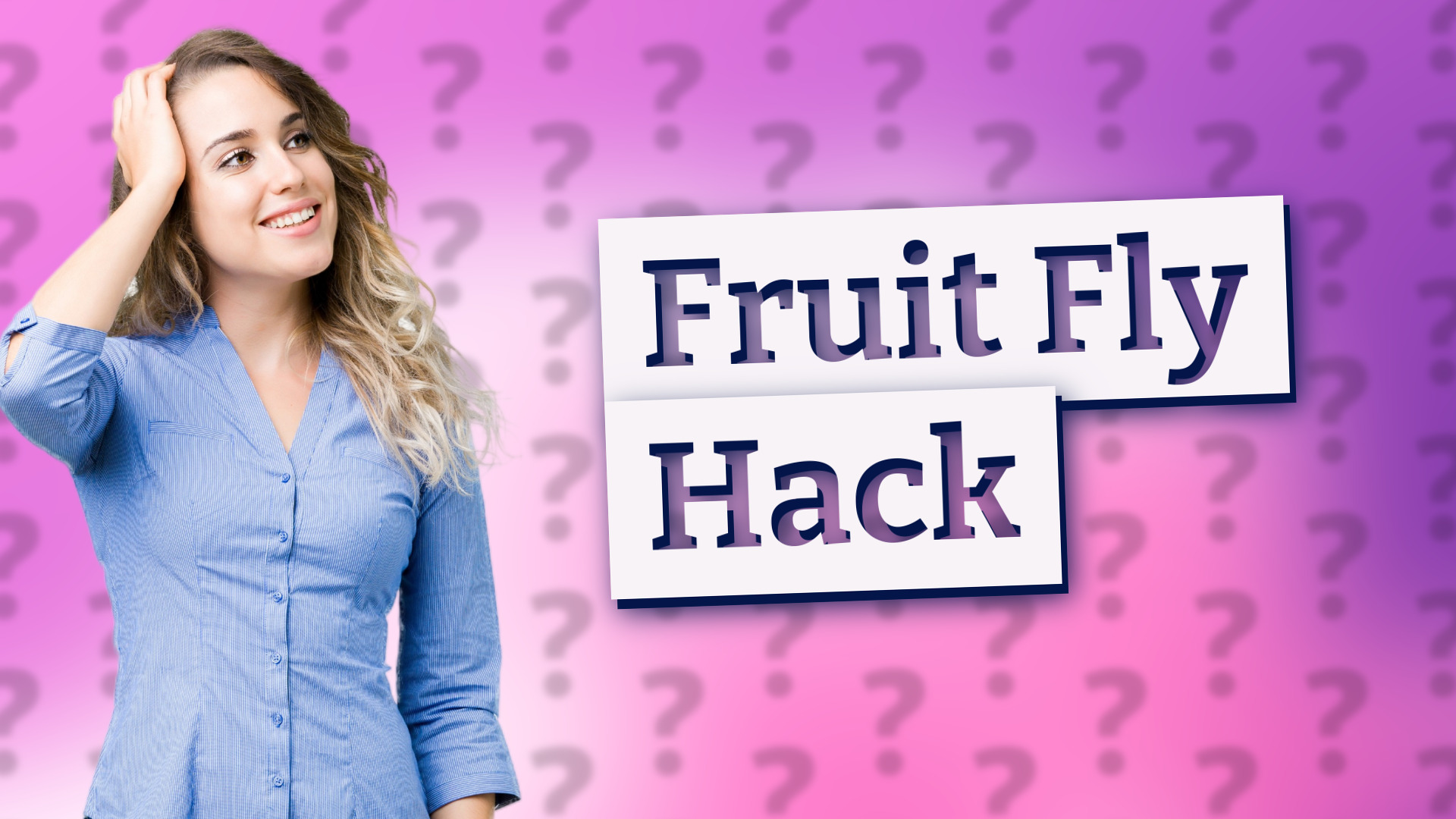 Fruit Fly Hack