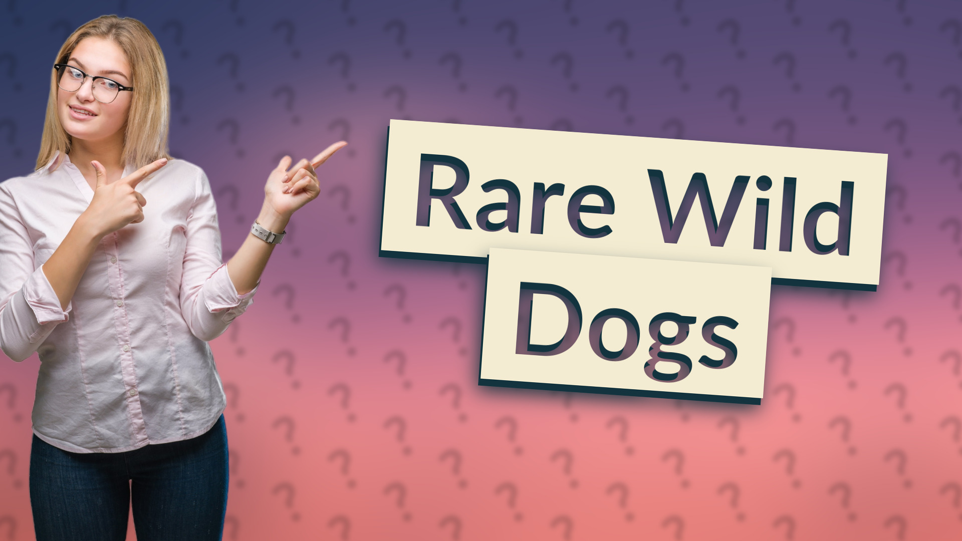 Rare Wild Dogs