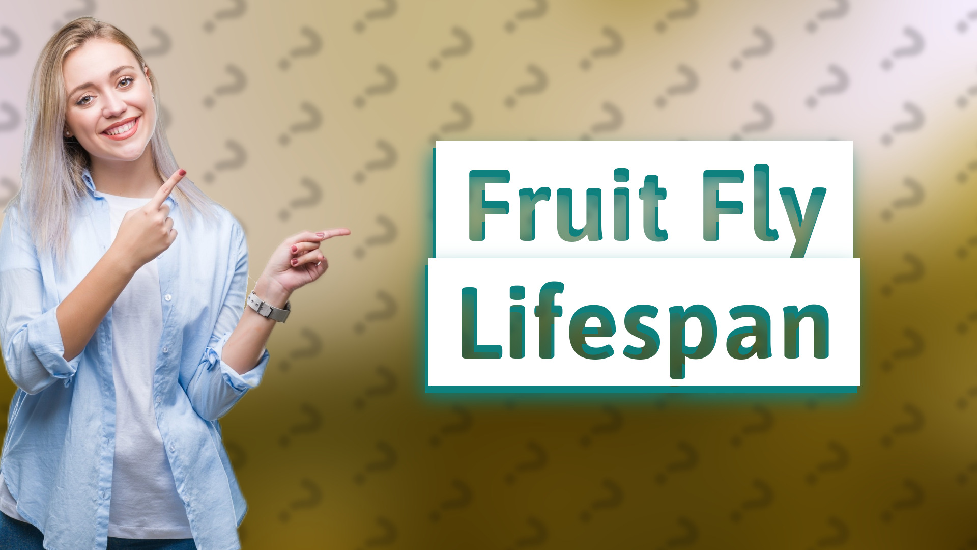 Fruit Fly Lifespan