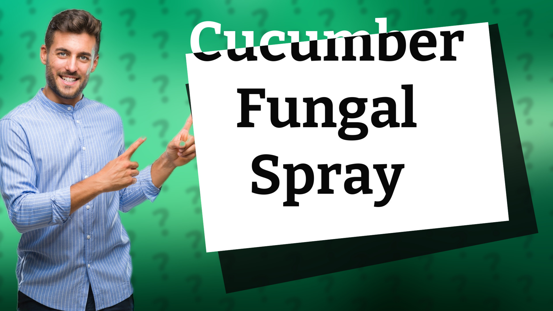 Cucumber Fungal Spray