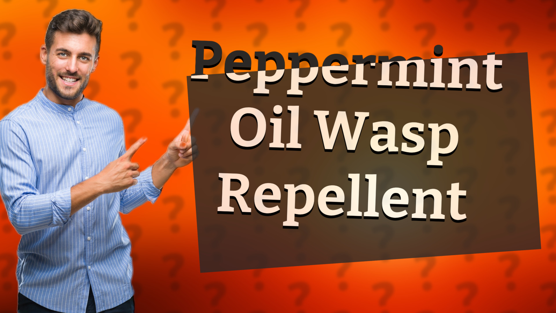 Peppermint Oil Wasp Repellent