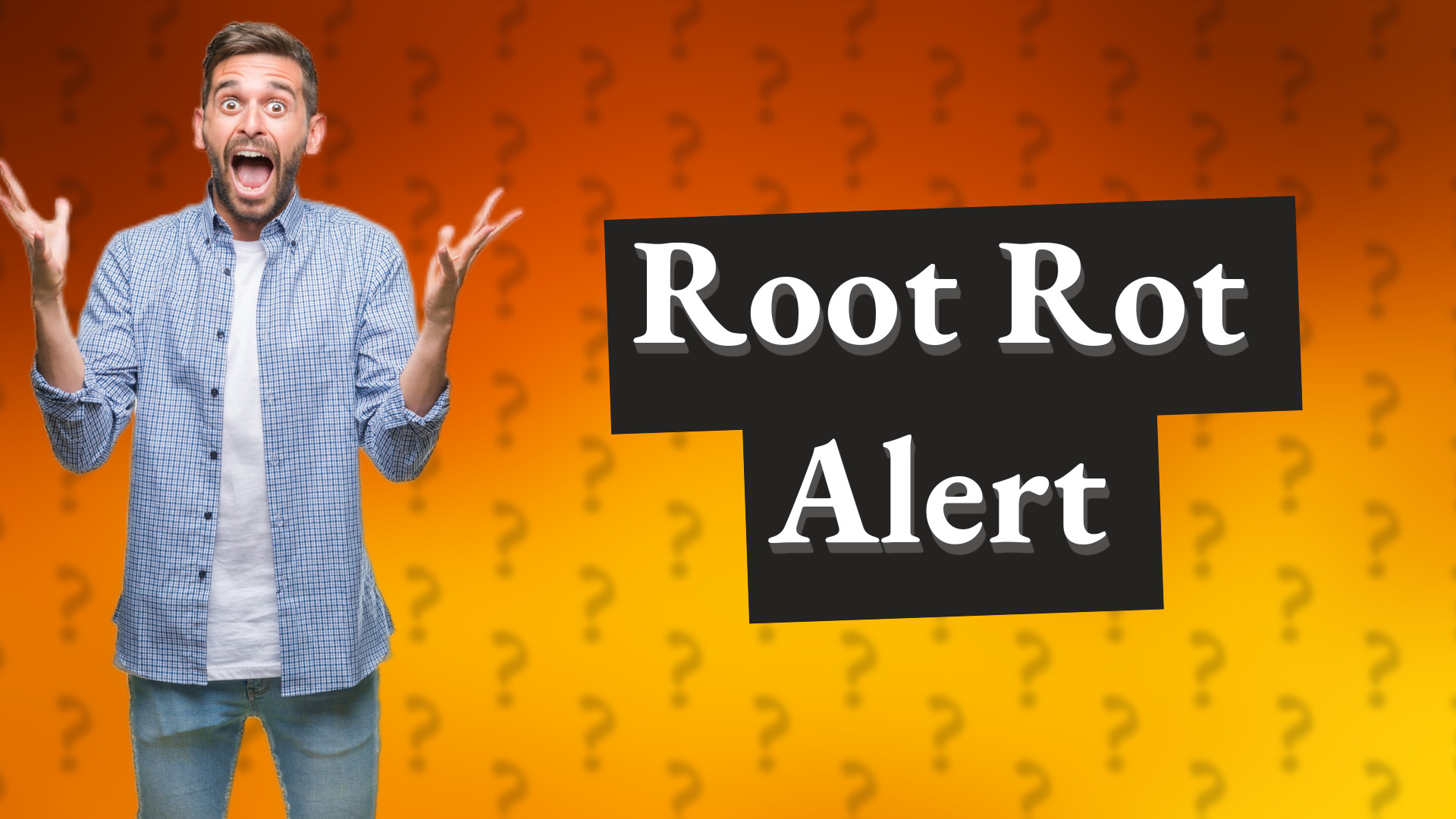 Root Rot Alert