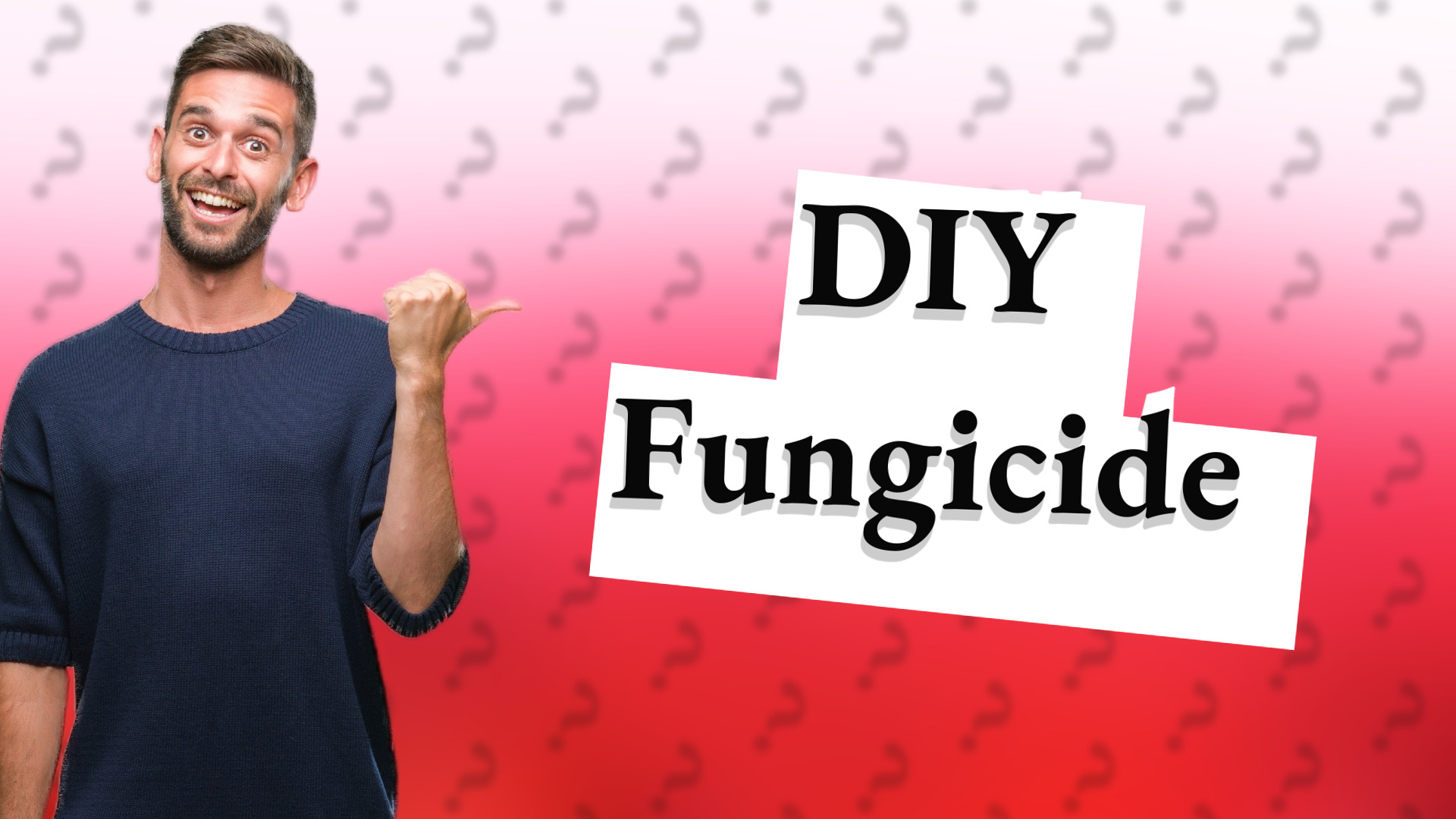 DIY Fungicide