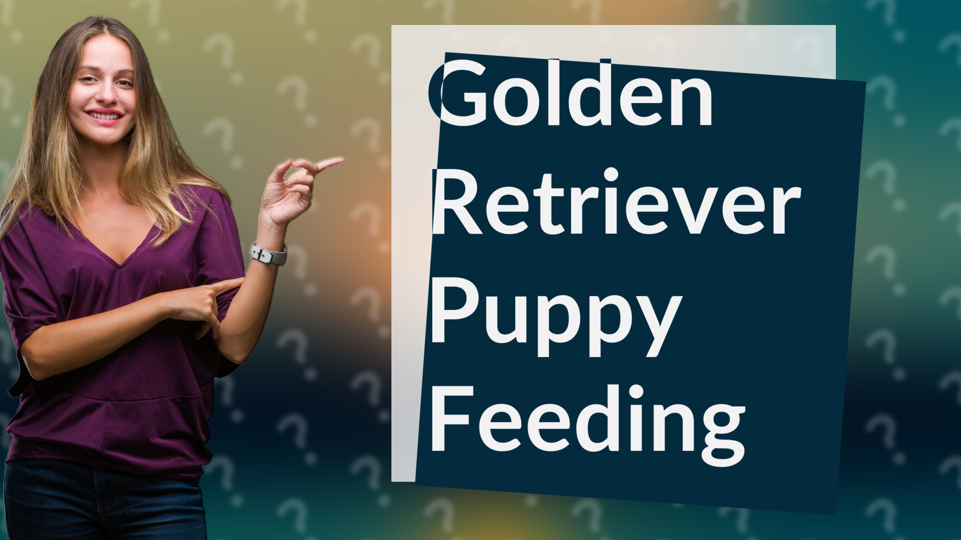 Golden Retriever Puppy Feeding