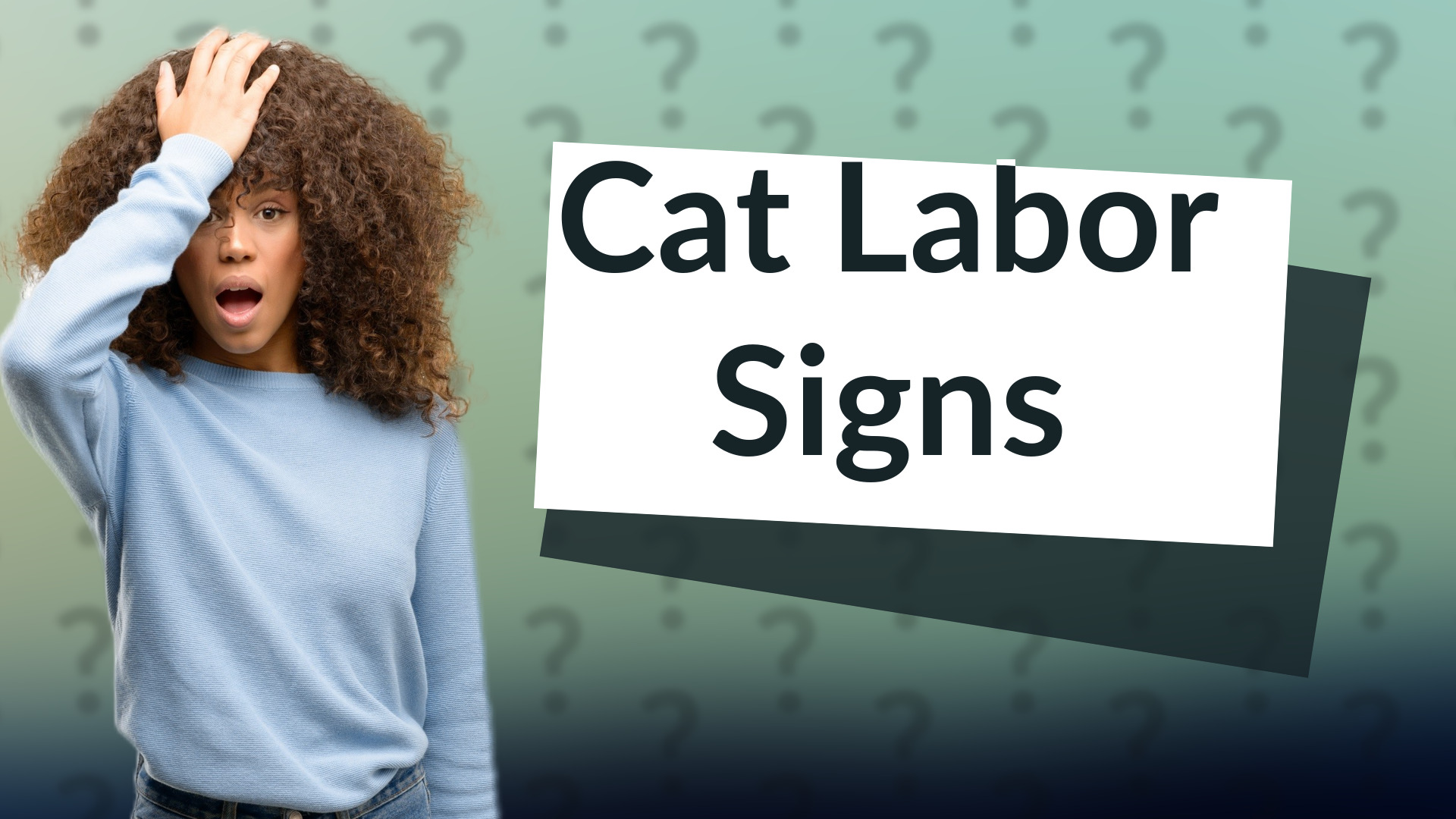 Cat Labor Signs