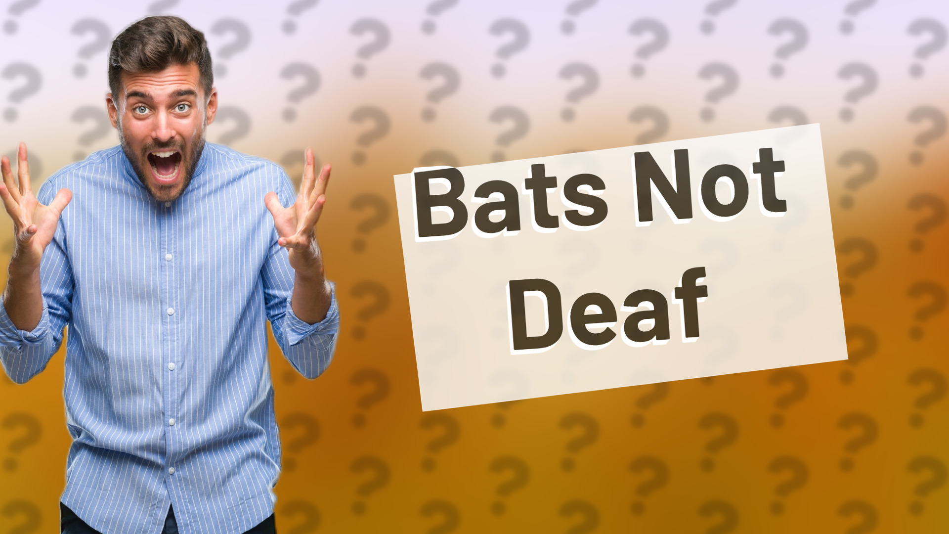 Bats Not Deaf