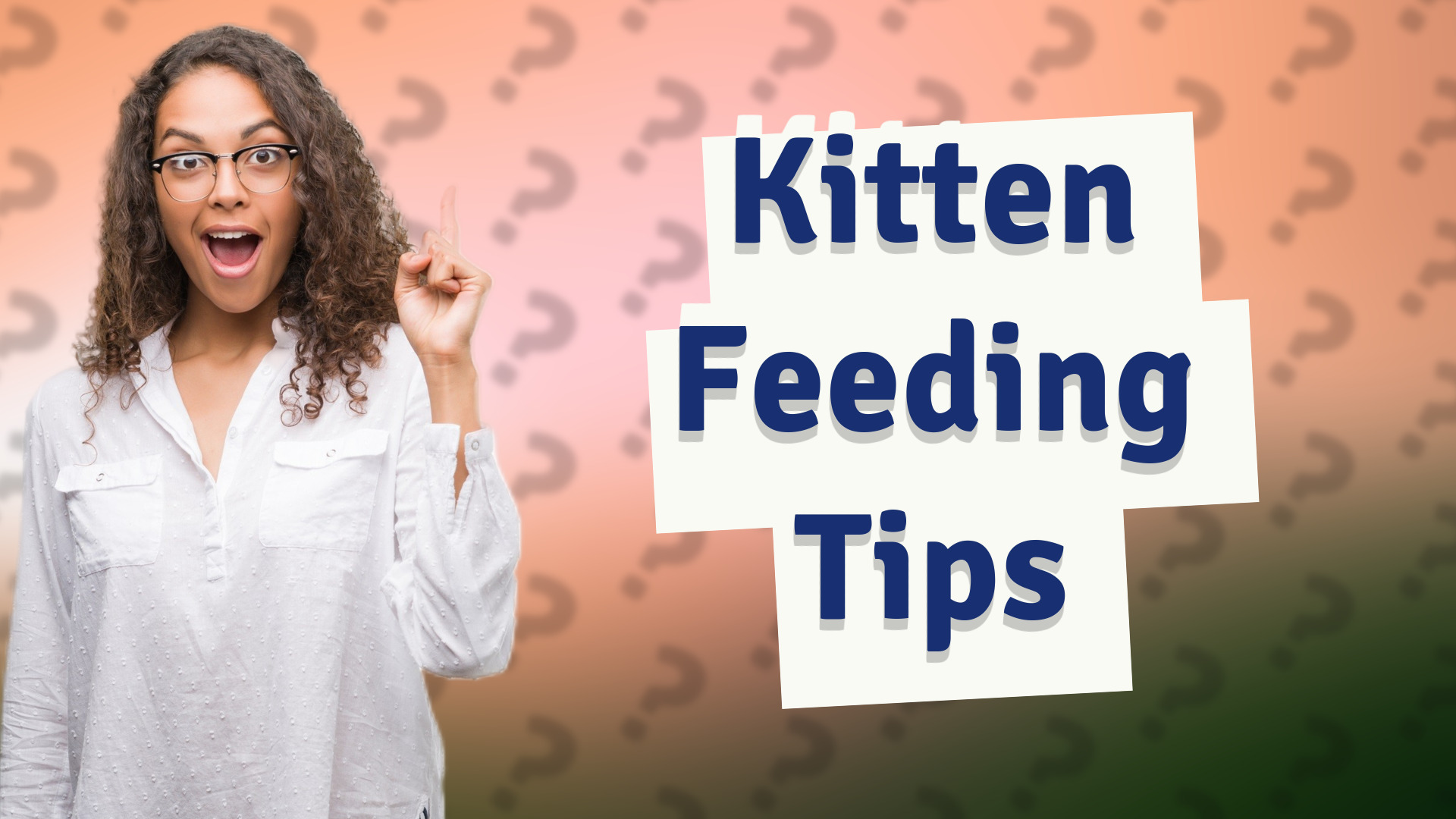 Kitten Feeding Tips