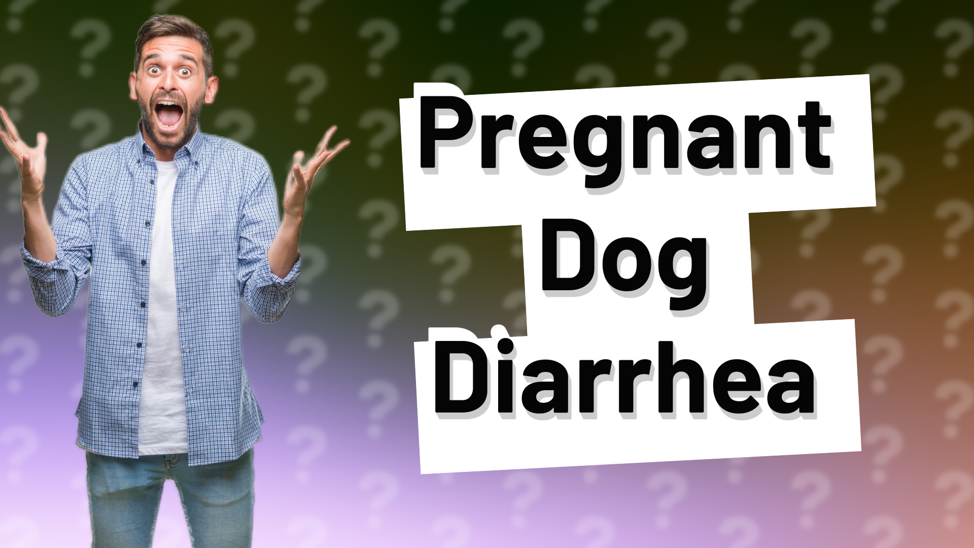 Pregnant Dog Diarrhea