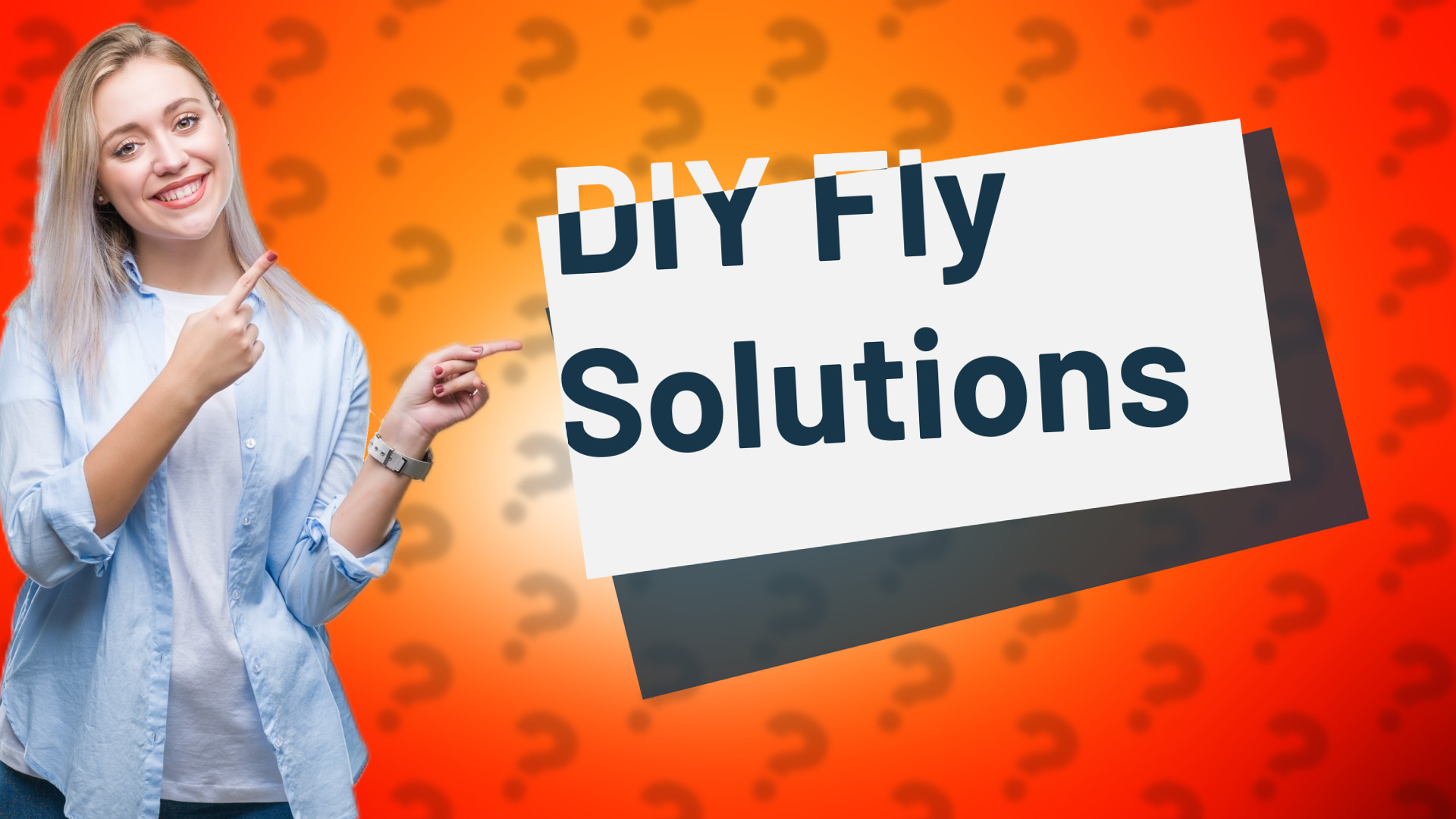 DIY Fly Solutions