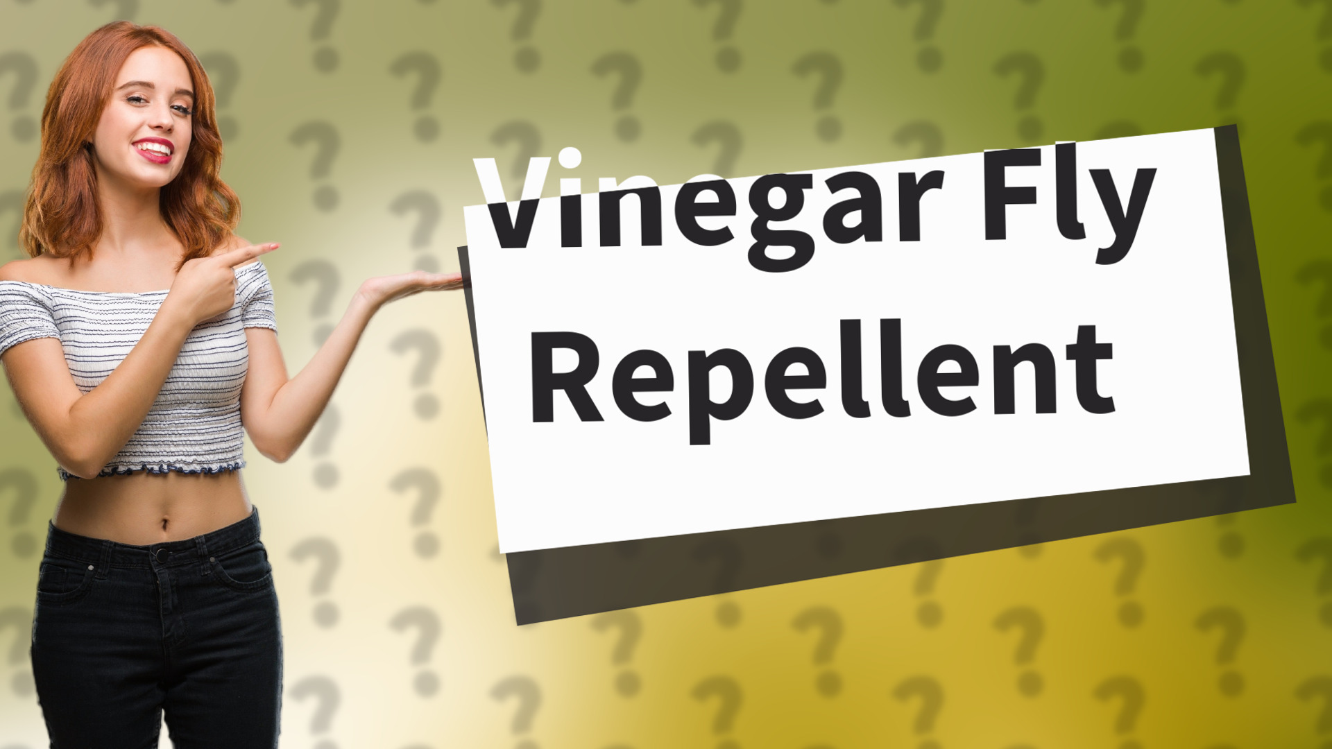 Vinegar Fly Repellent