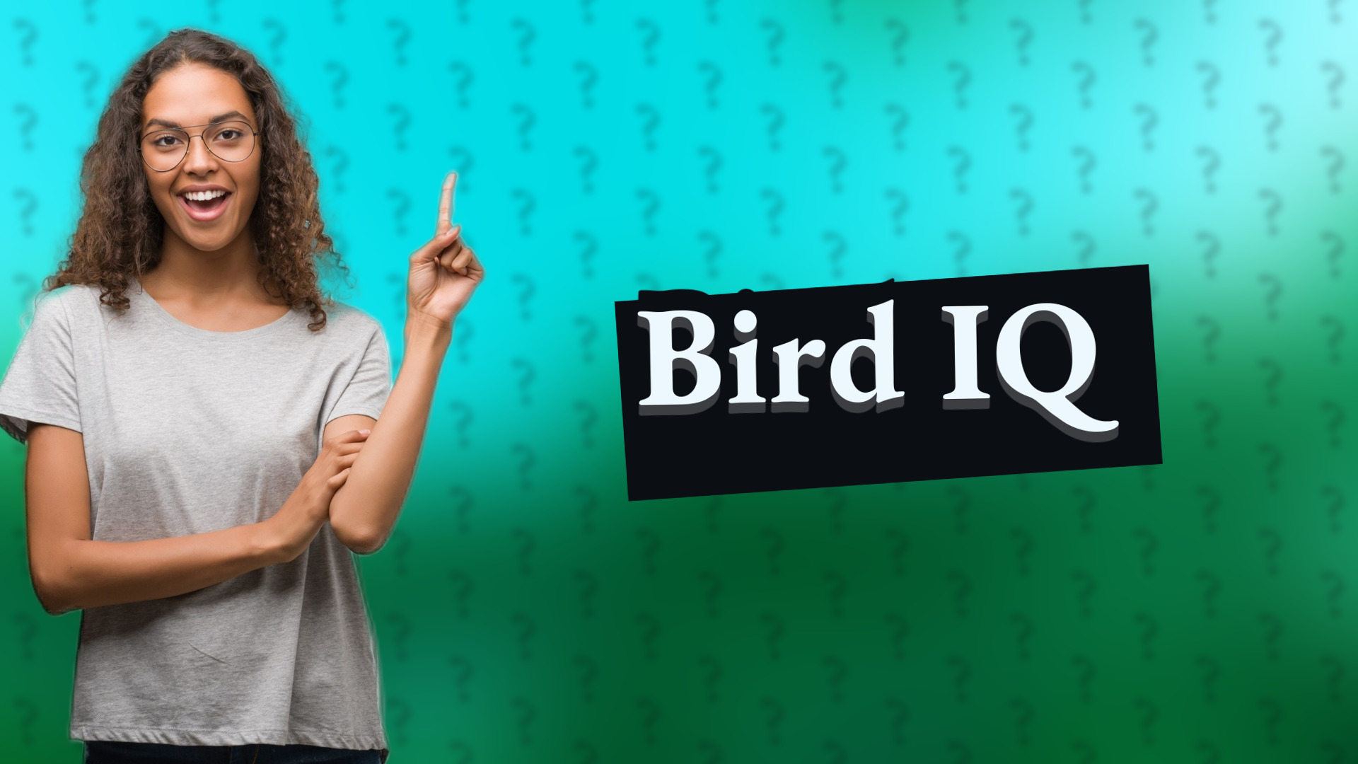 Bird IQ