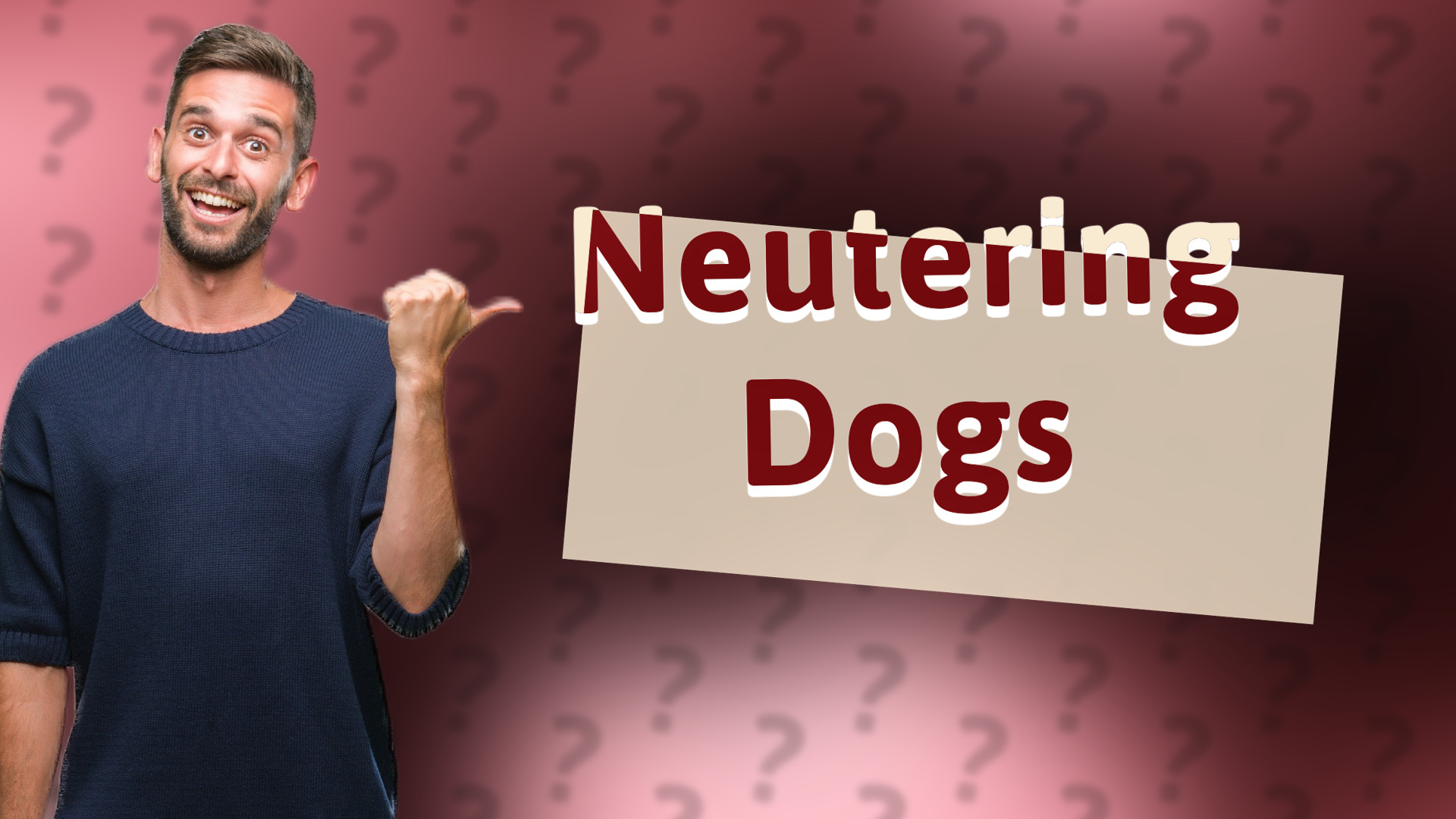 Neutering Dogs