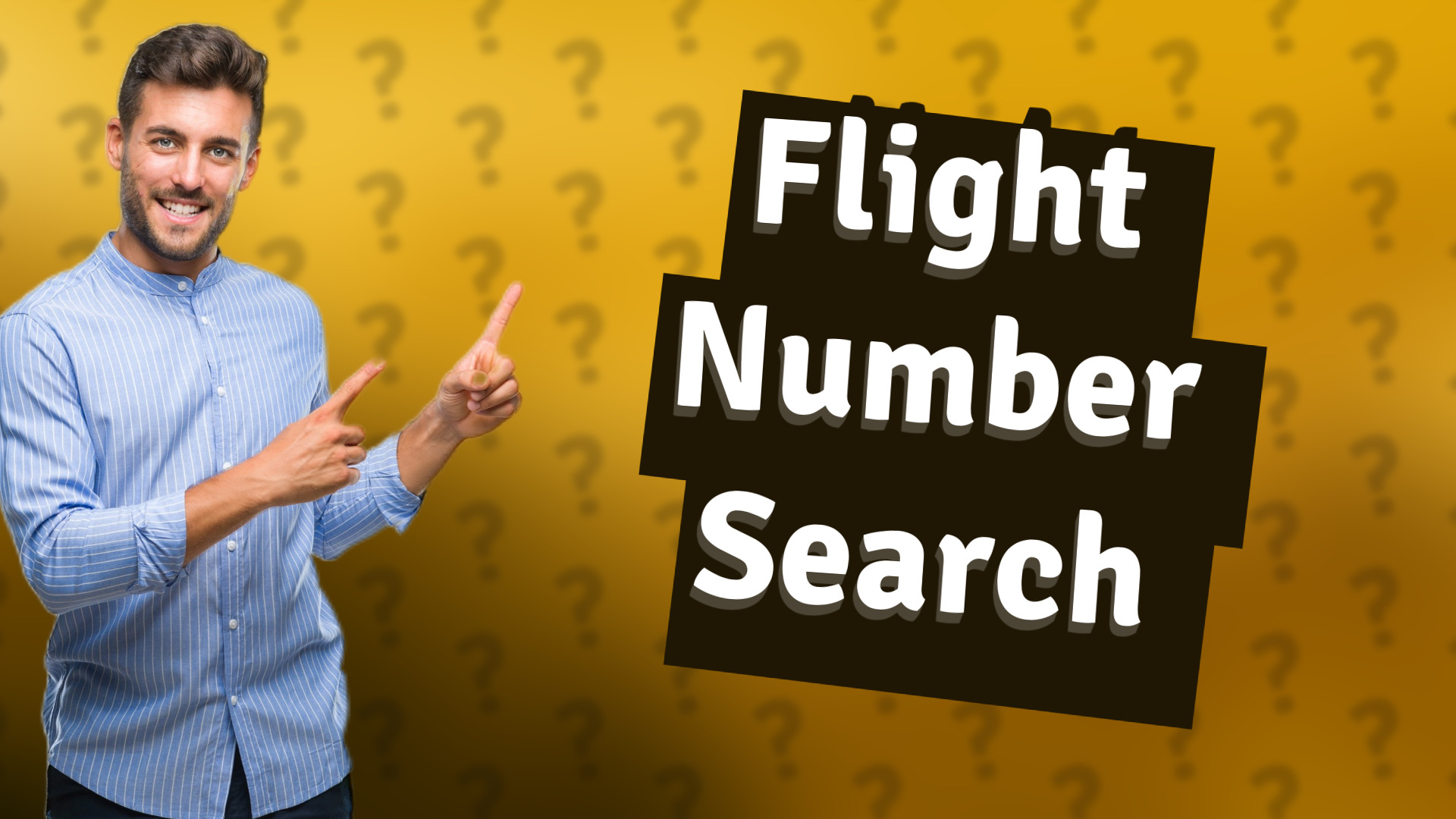 Flight Number Search
