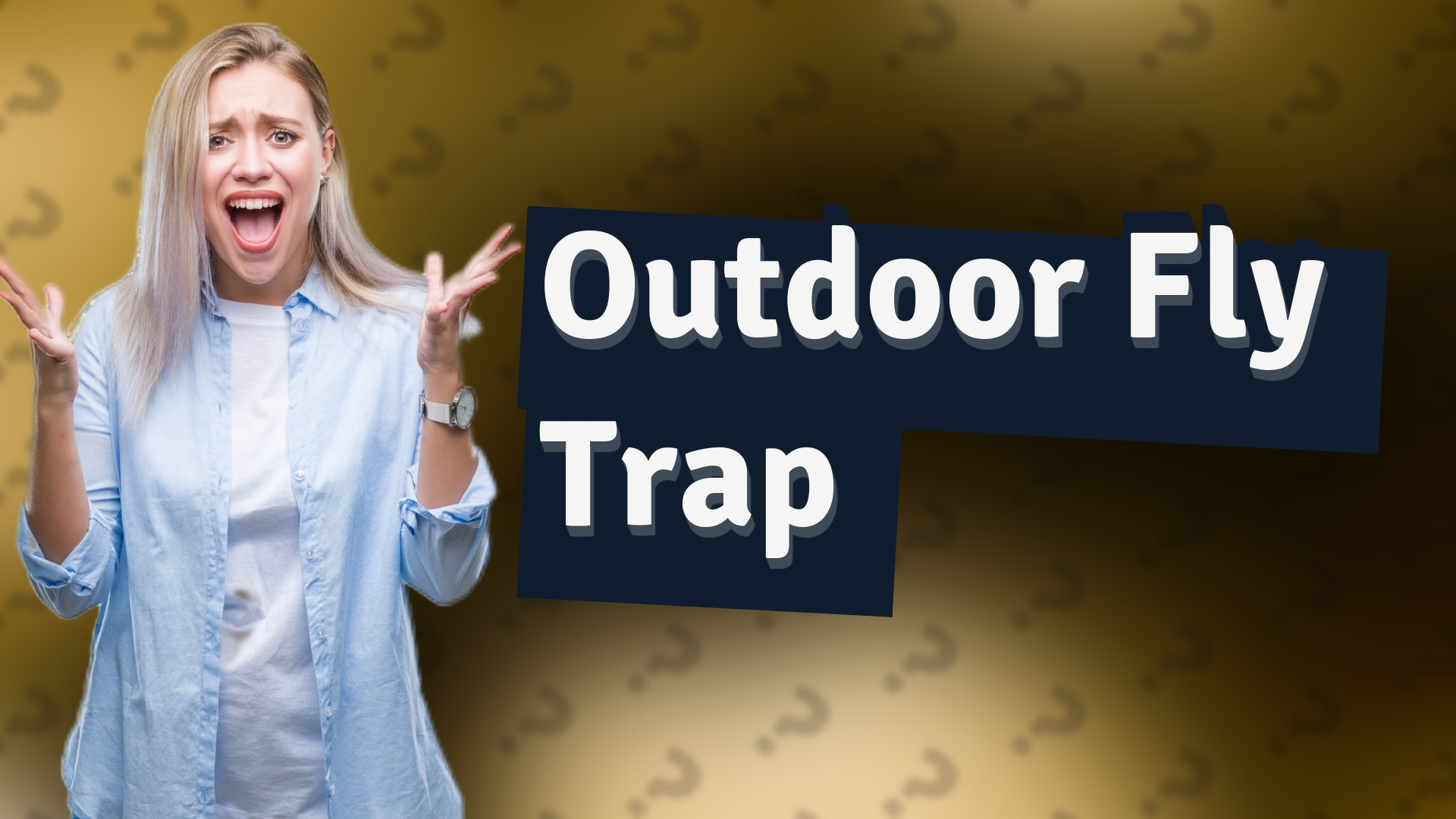Outdoor Fly Trap