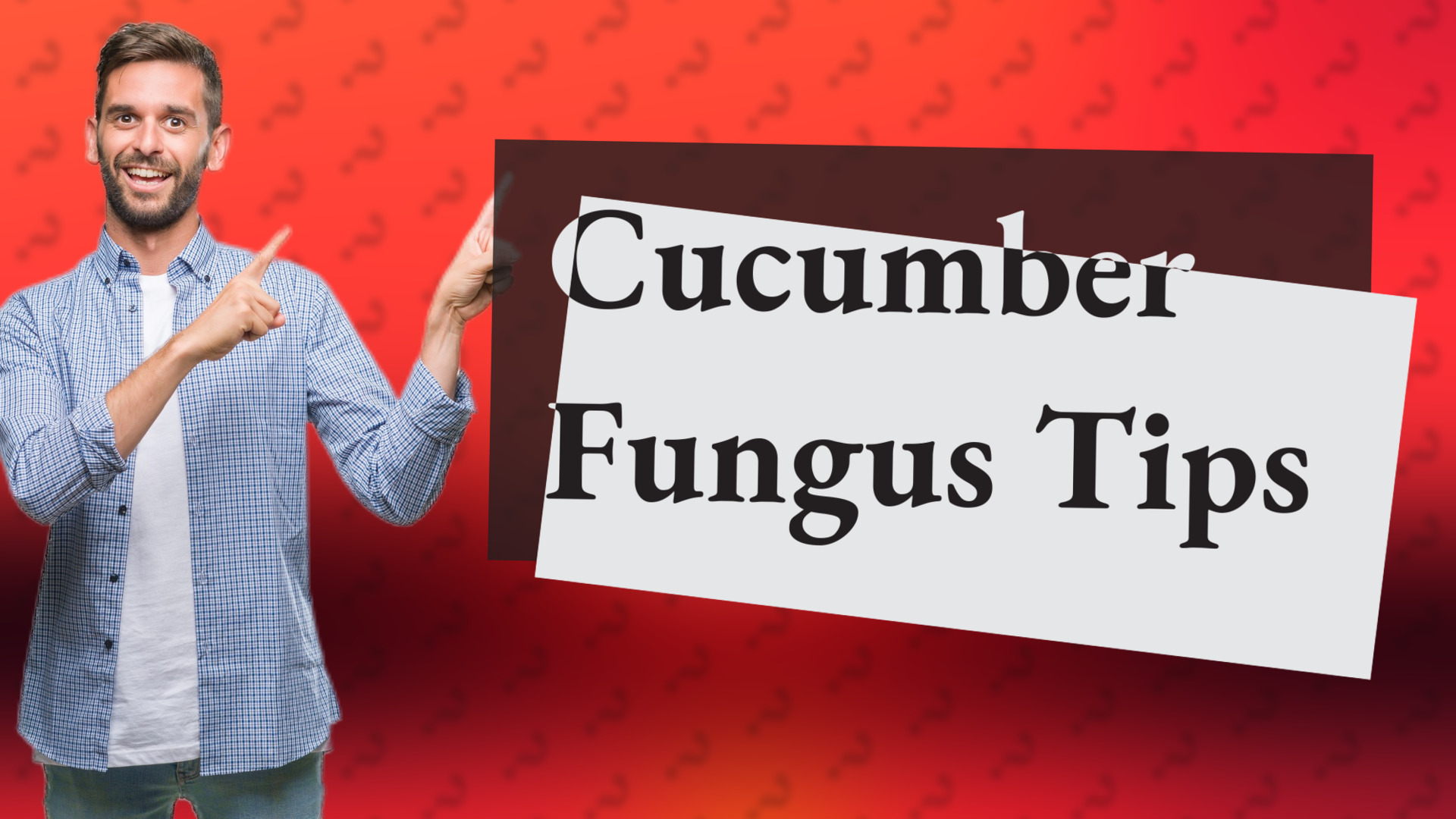 Cucumber Fungus Tips