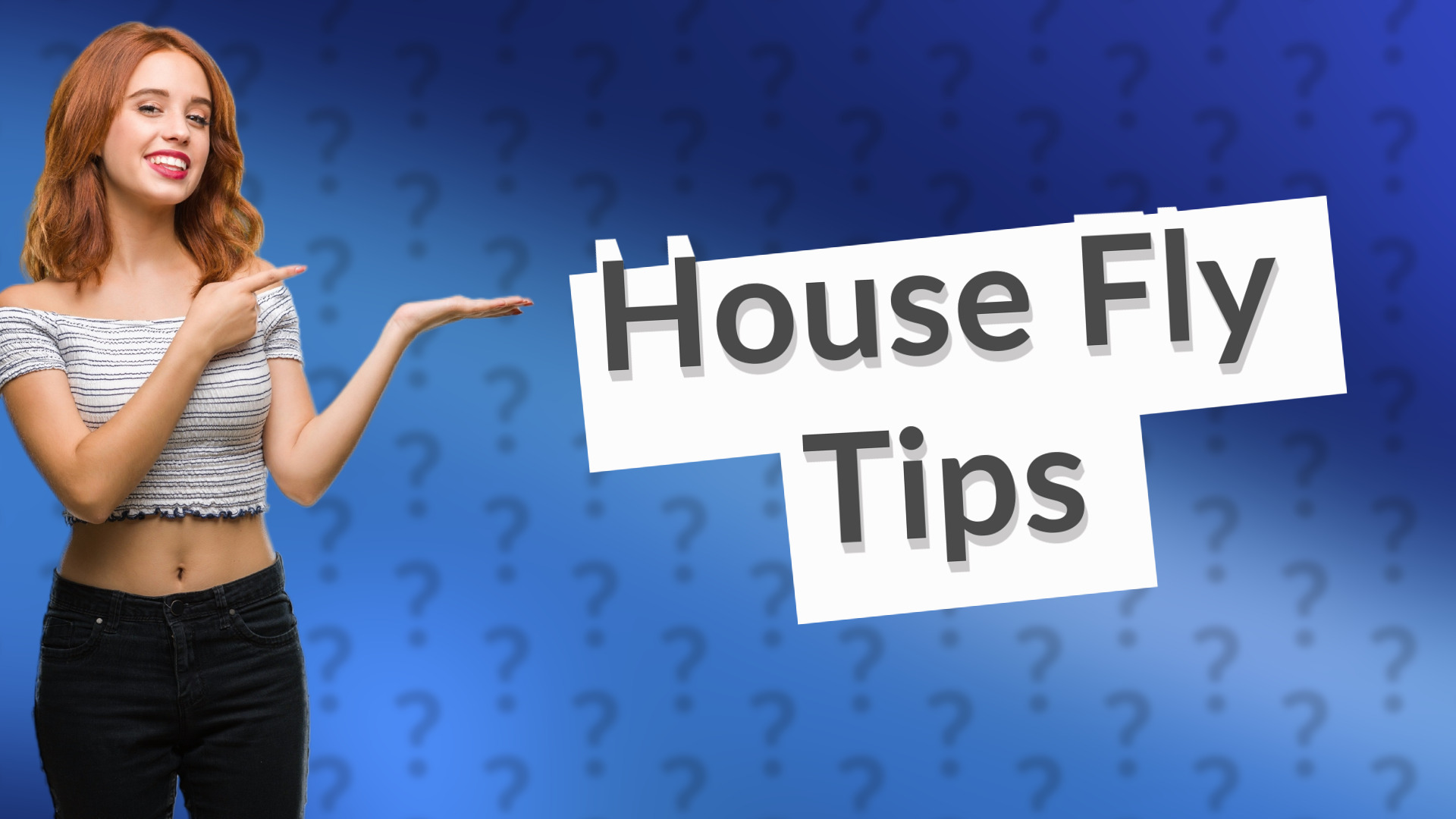 House Fly Tips