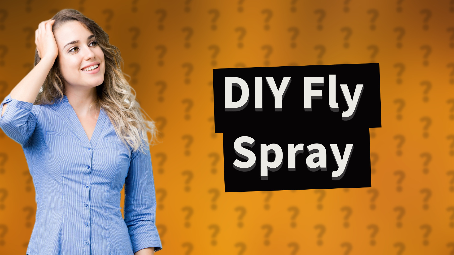 DIY Fly Spray
