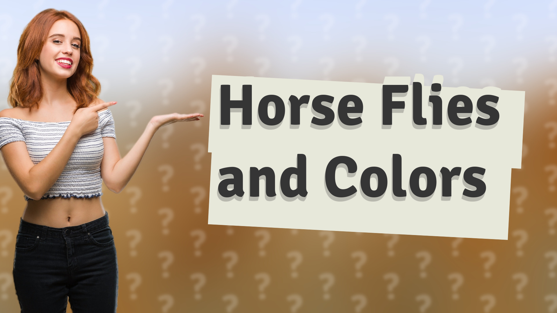 Horse Flies and Colors
