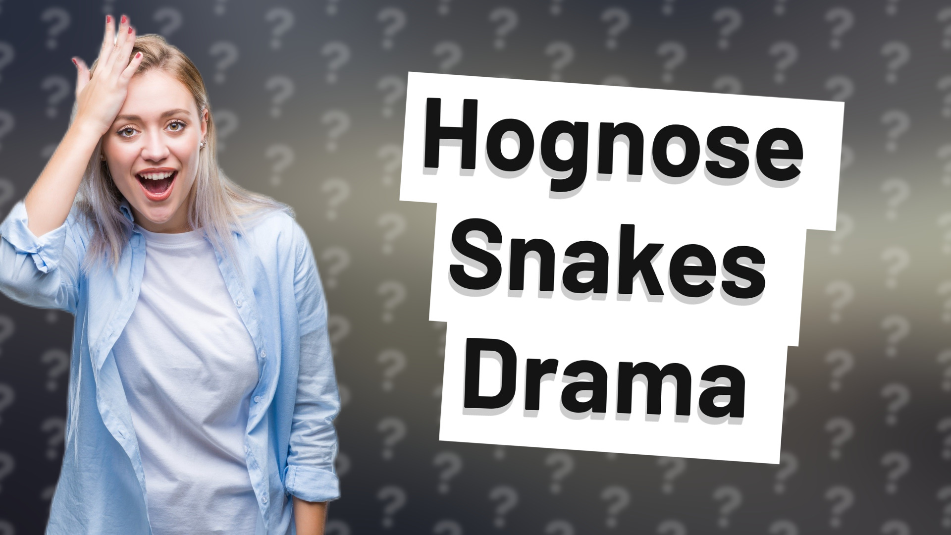 Hognose Snakes Drama