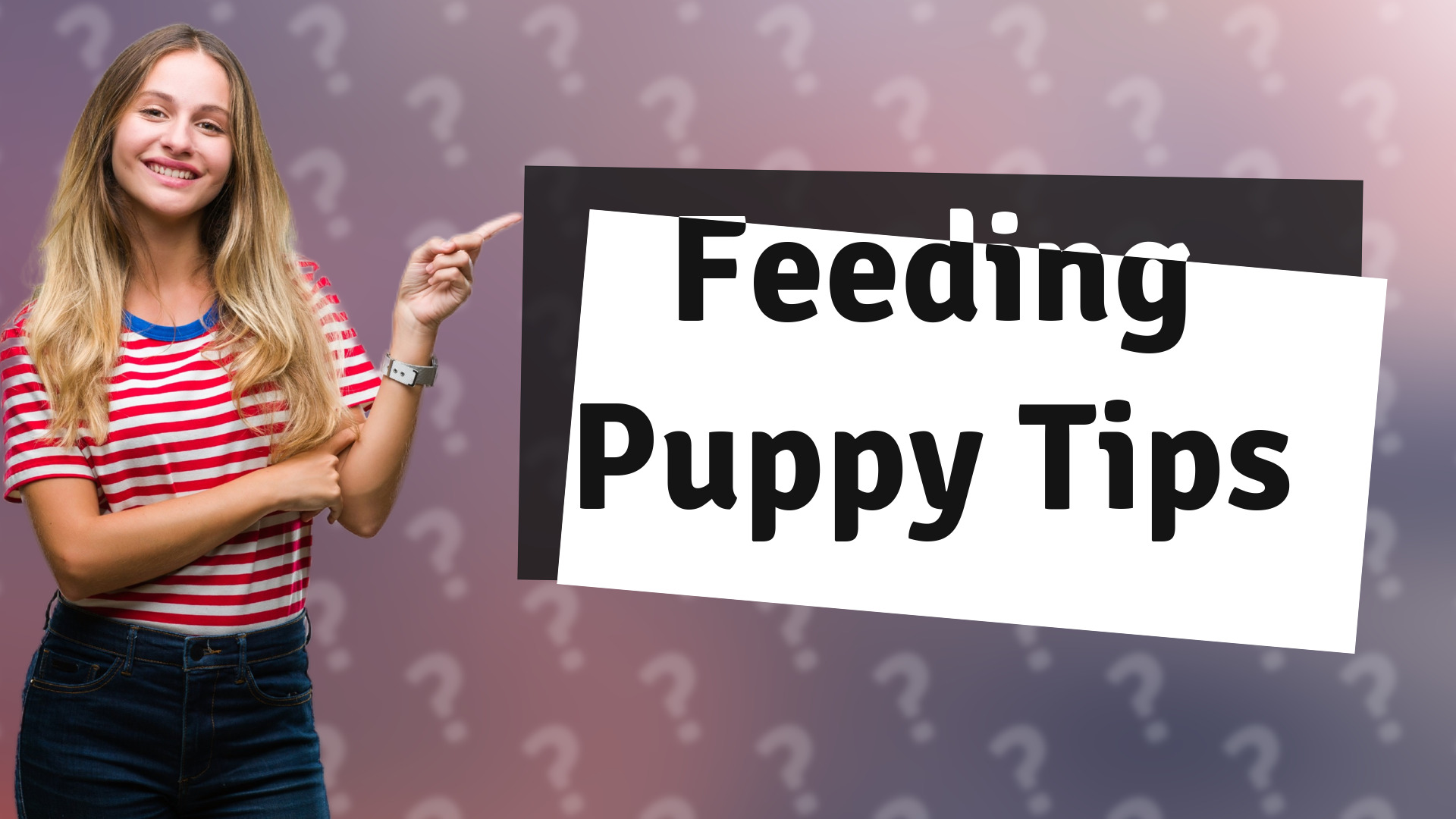 Feeding Puppy Tips