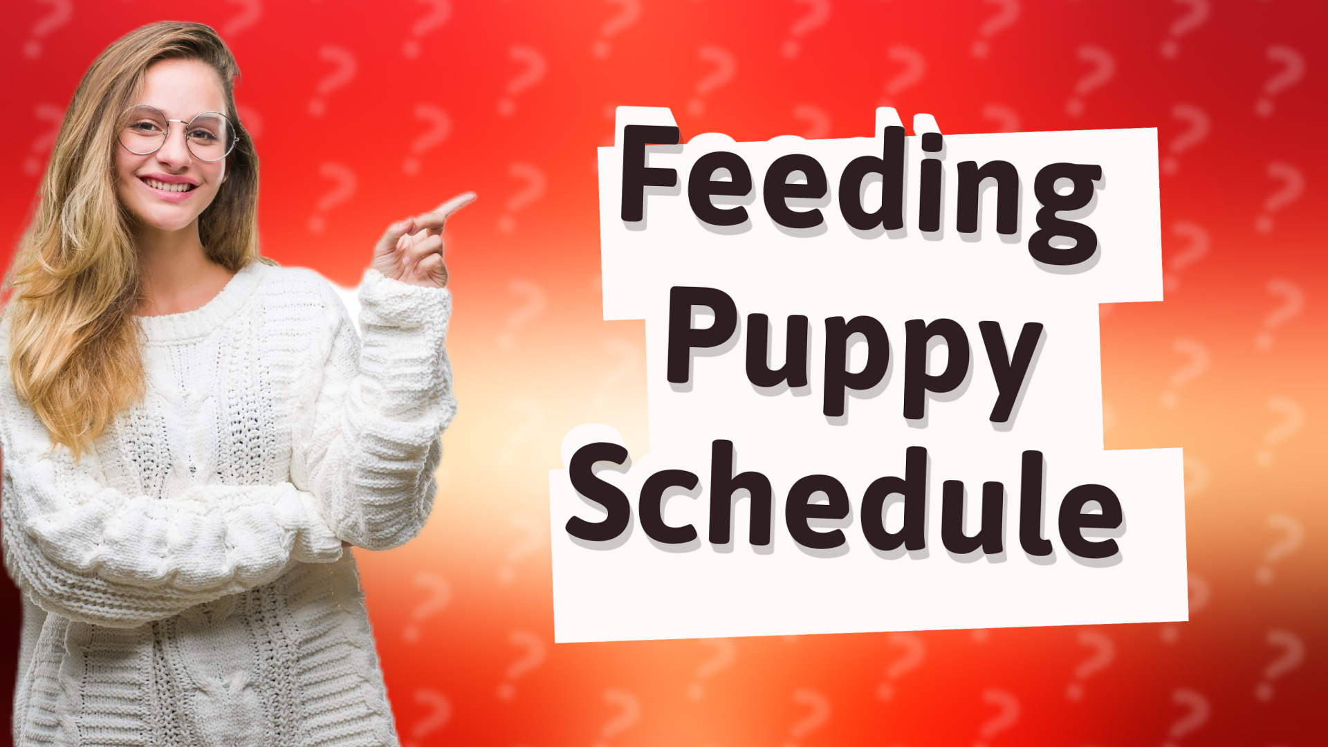 Feeding Puppy Schedule