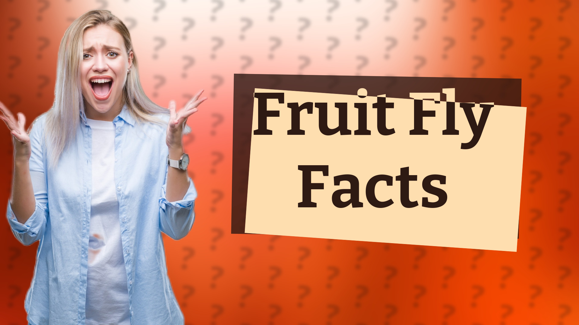 Fruit Fly Facts