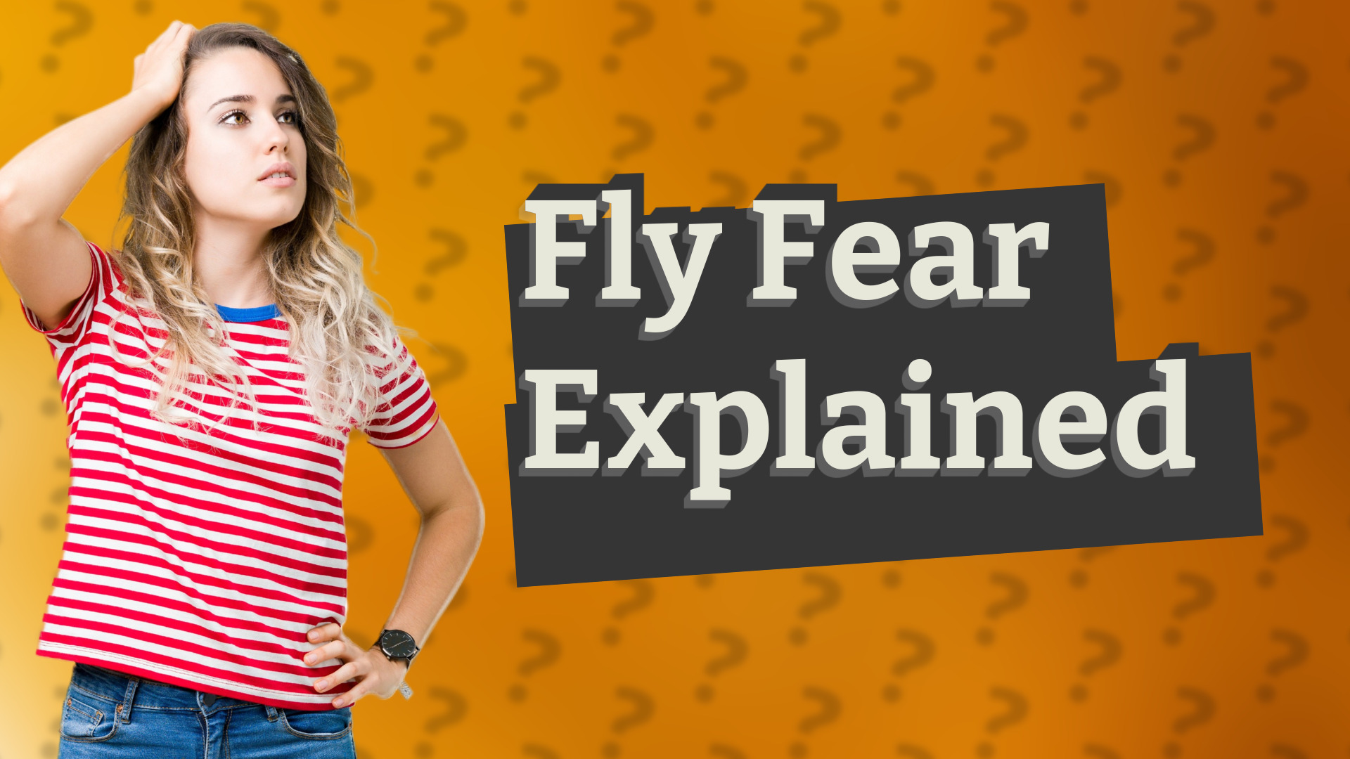 Fly Fear Explained