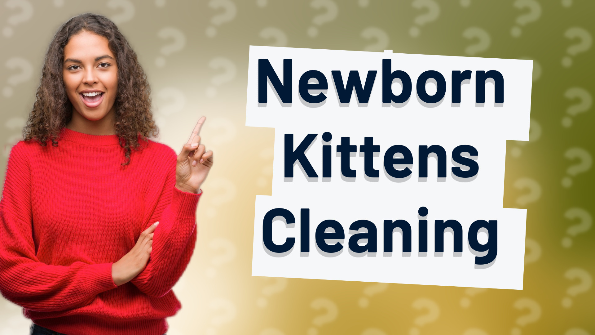 Newborn Kittens Cleaning