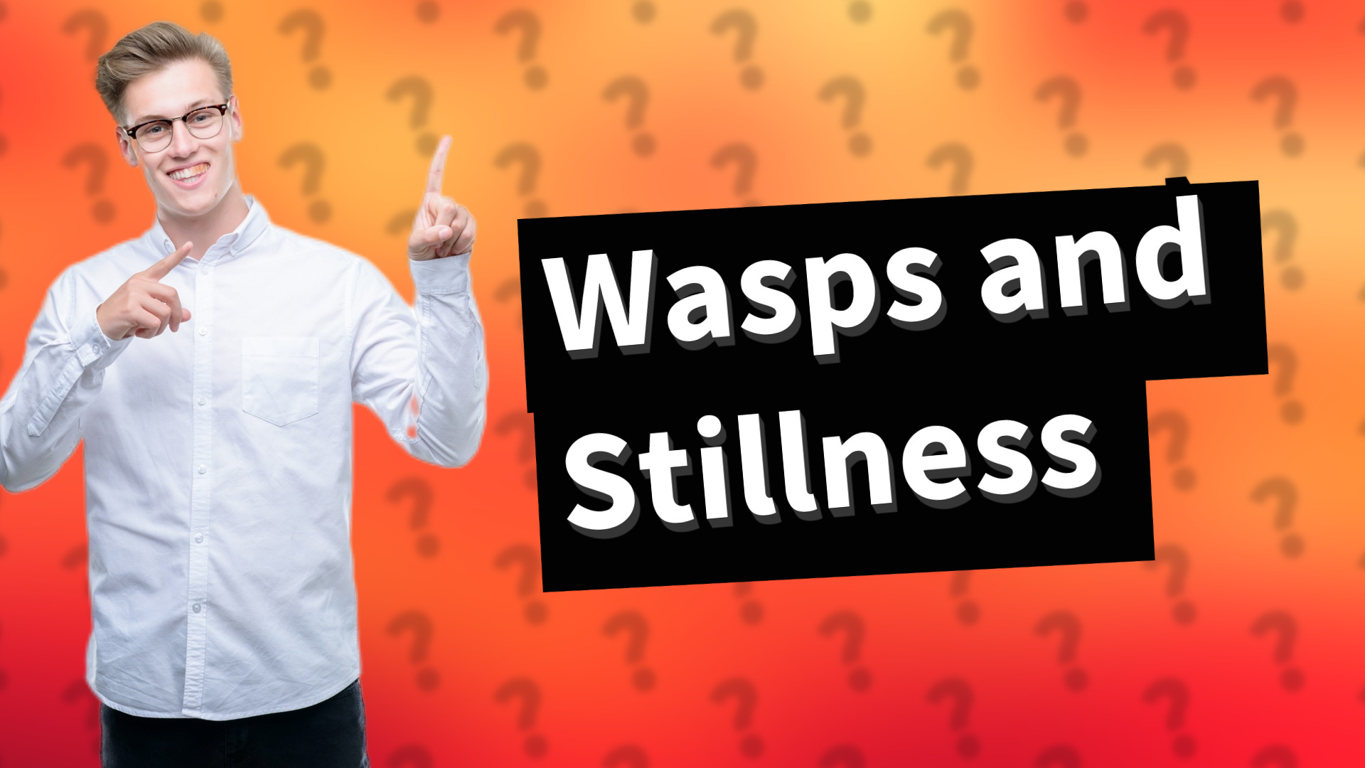 Wasps and Stillness