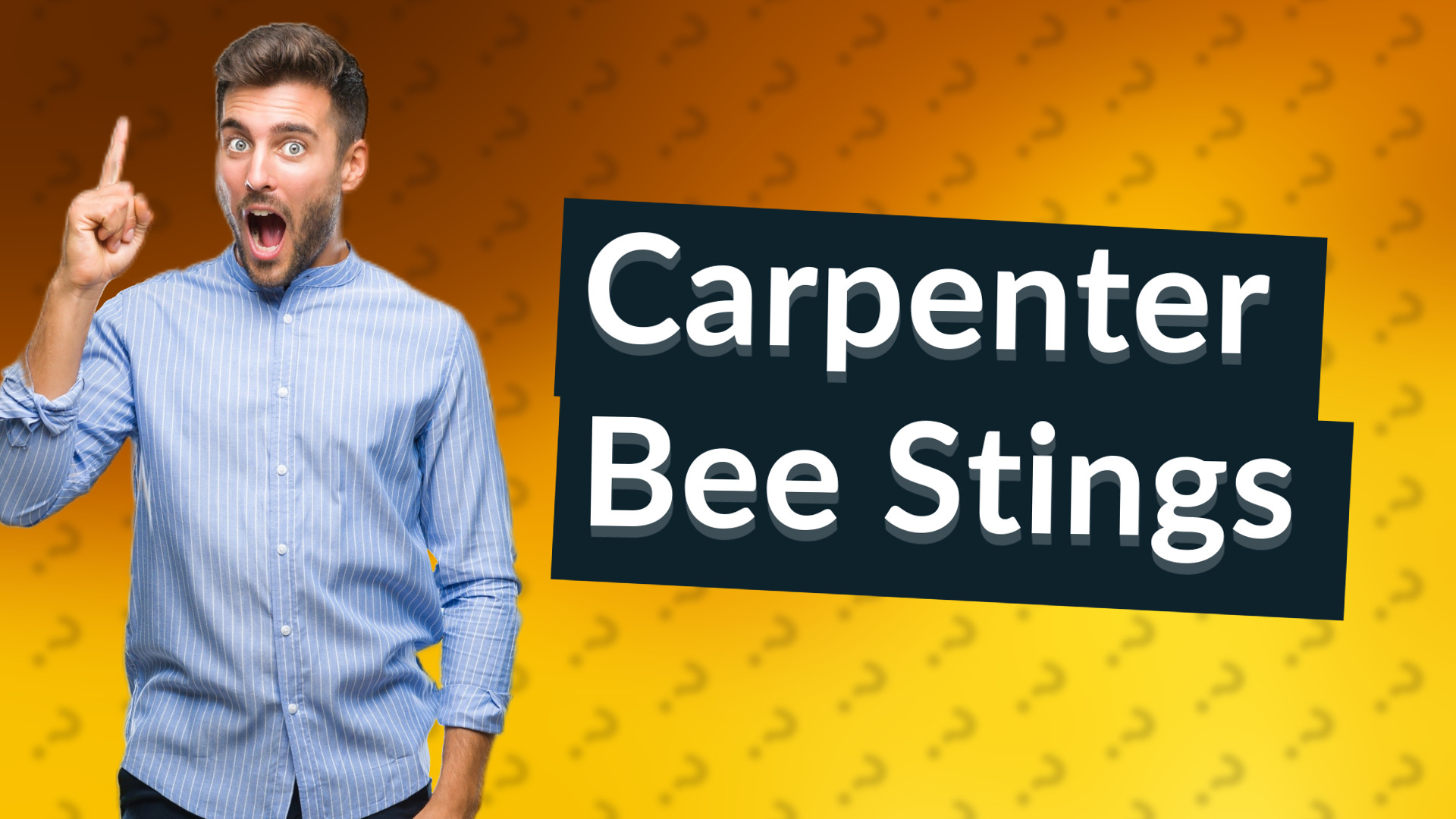 Carpenter Bee Stings