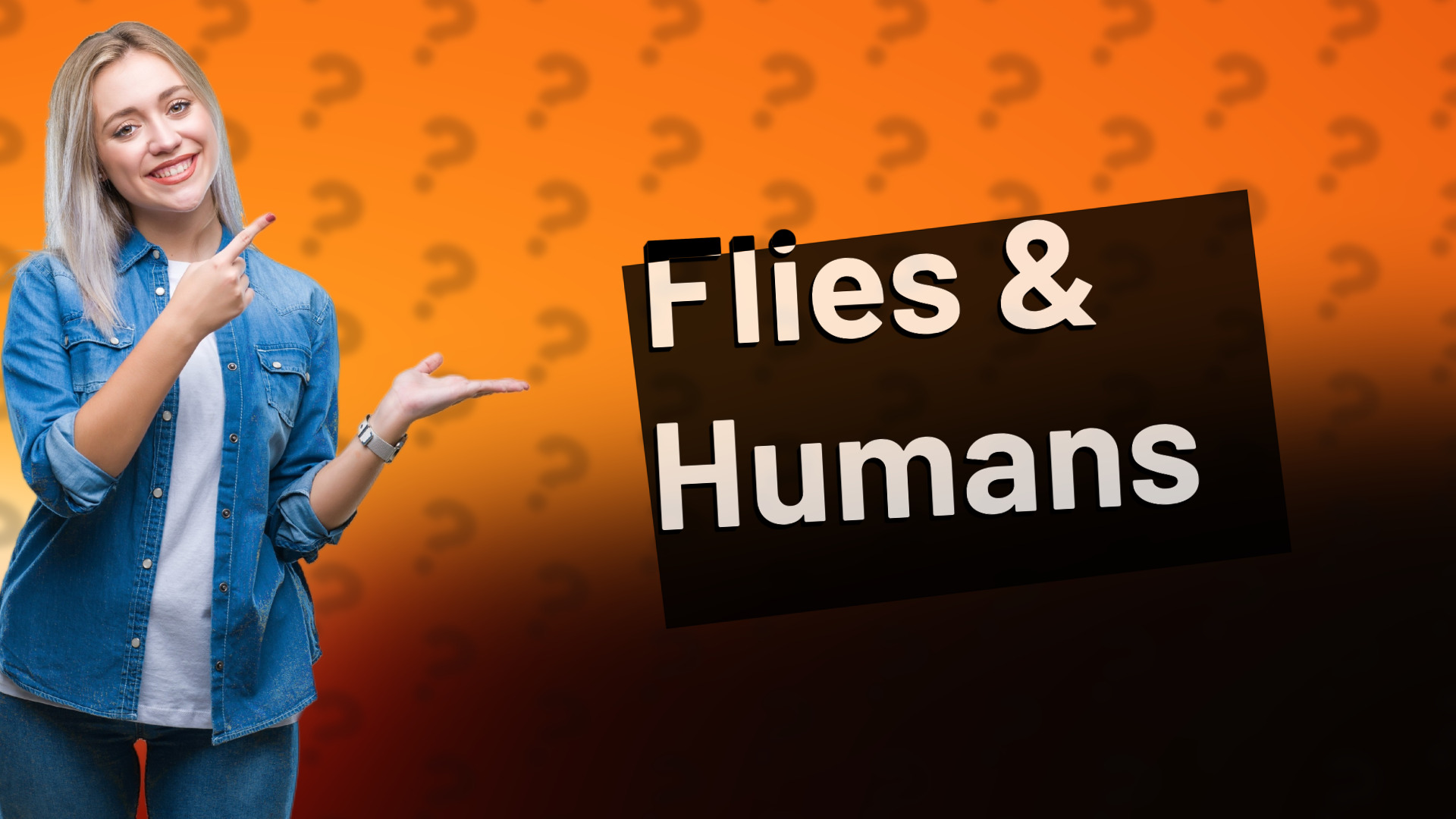 Flies & Humans