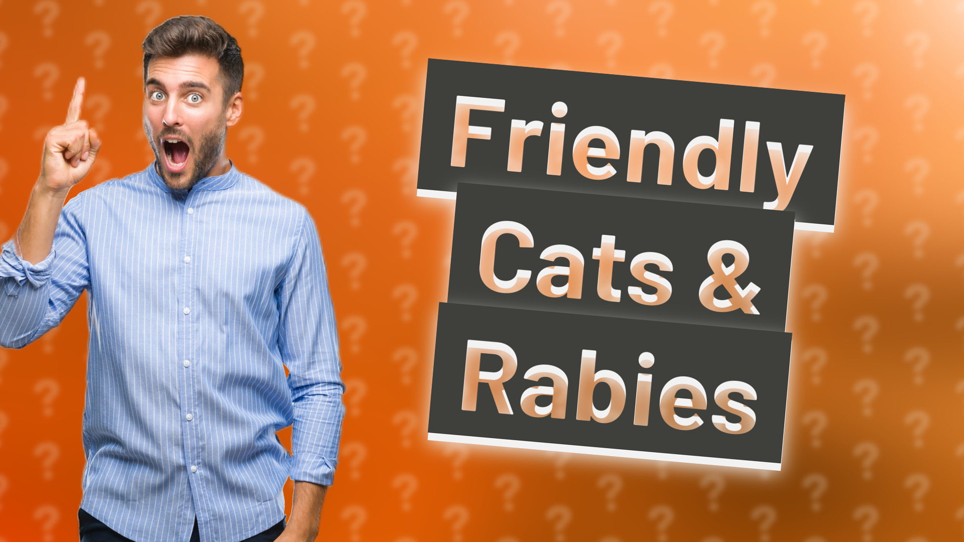 Friendly Cats & Rabies