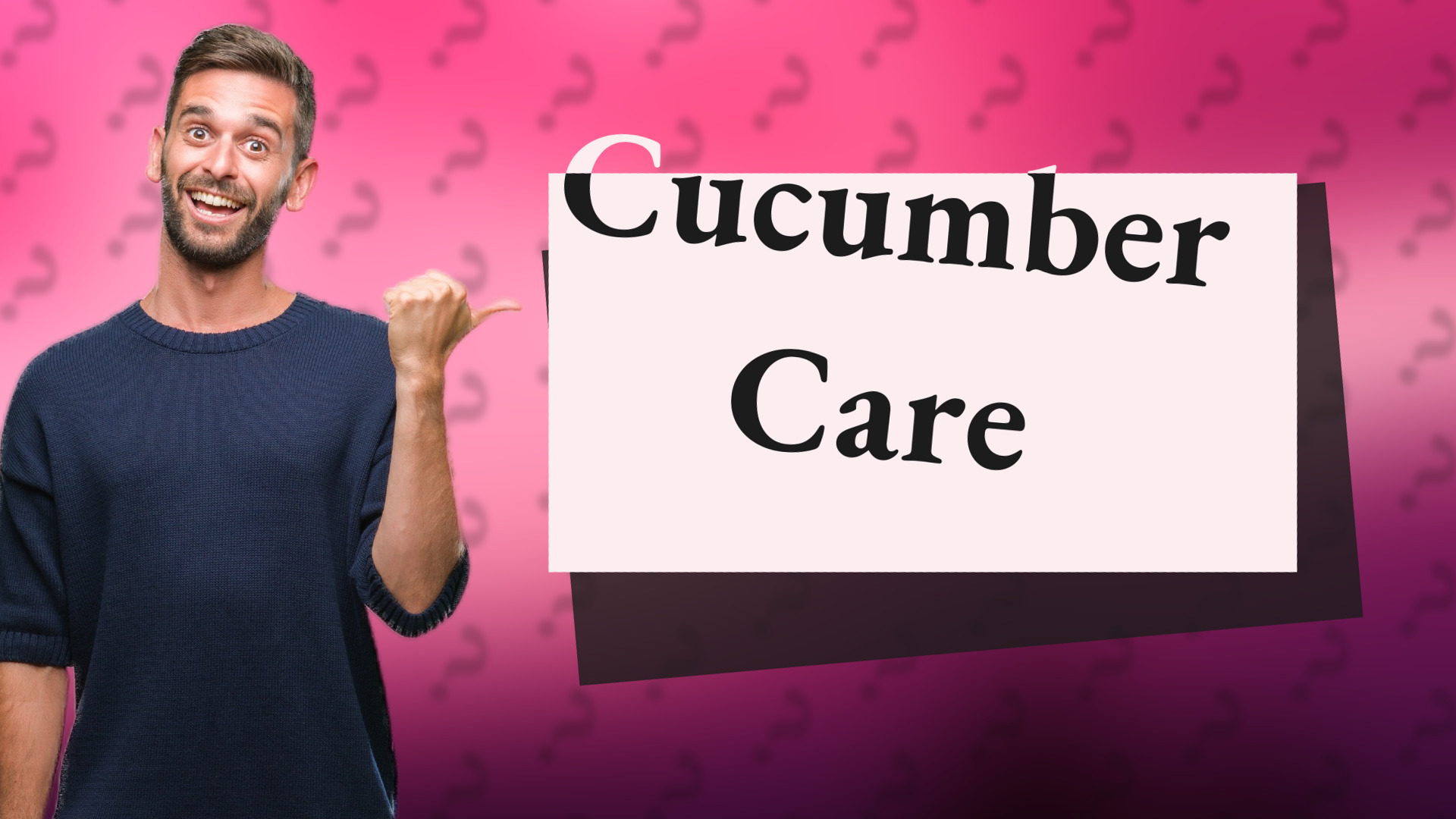 Cucumber Care