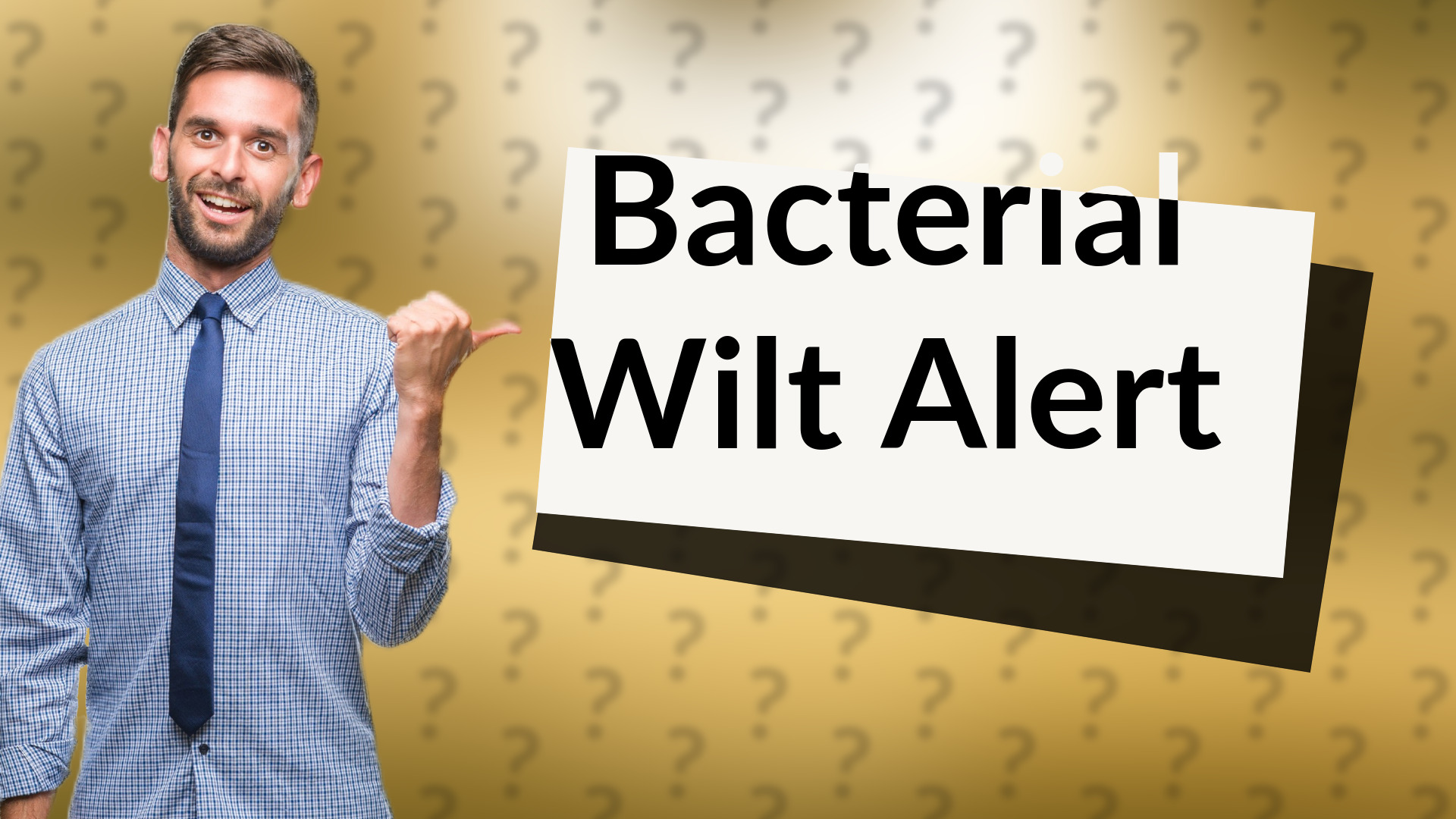 Bacterial Wilt Alert