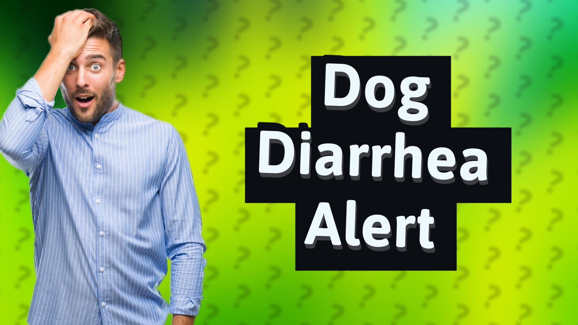 Dog Diarrhea Alert