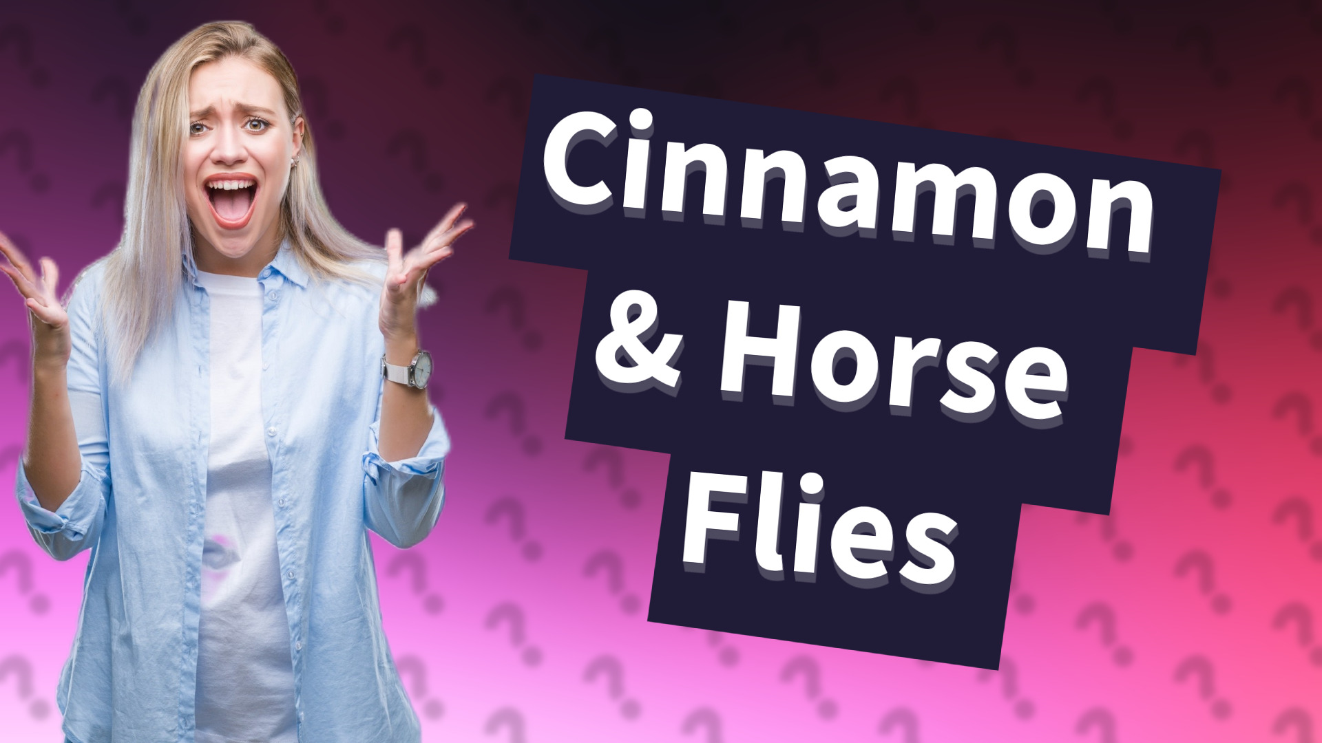 Cinnamon & Horse Flies