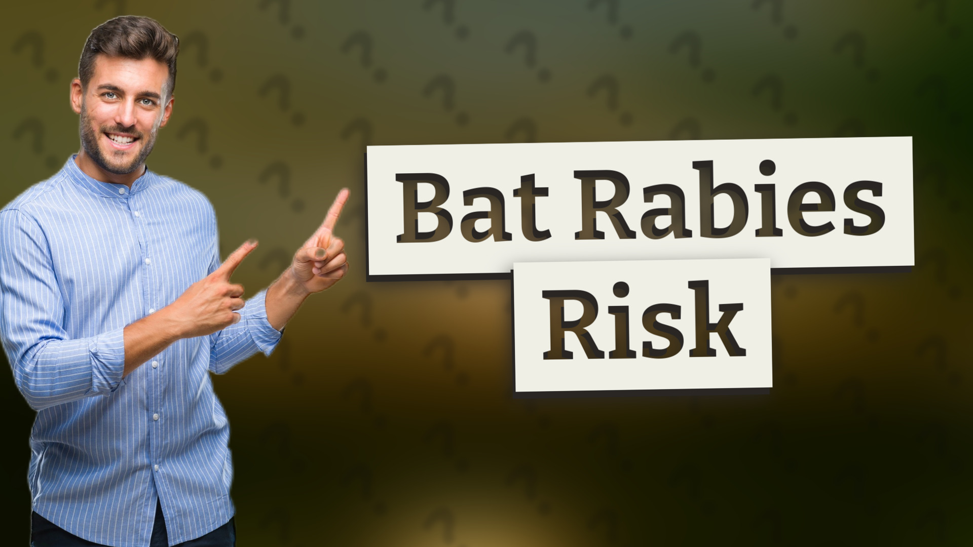 Bat Rabies Risk