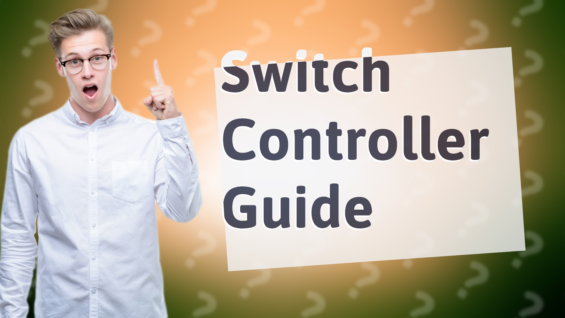 Switch Controller Guide