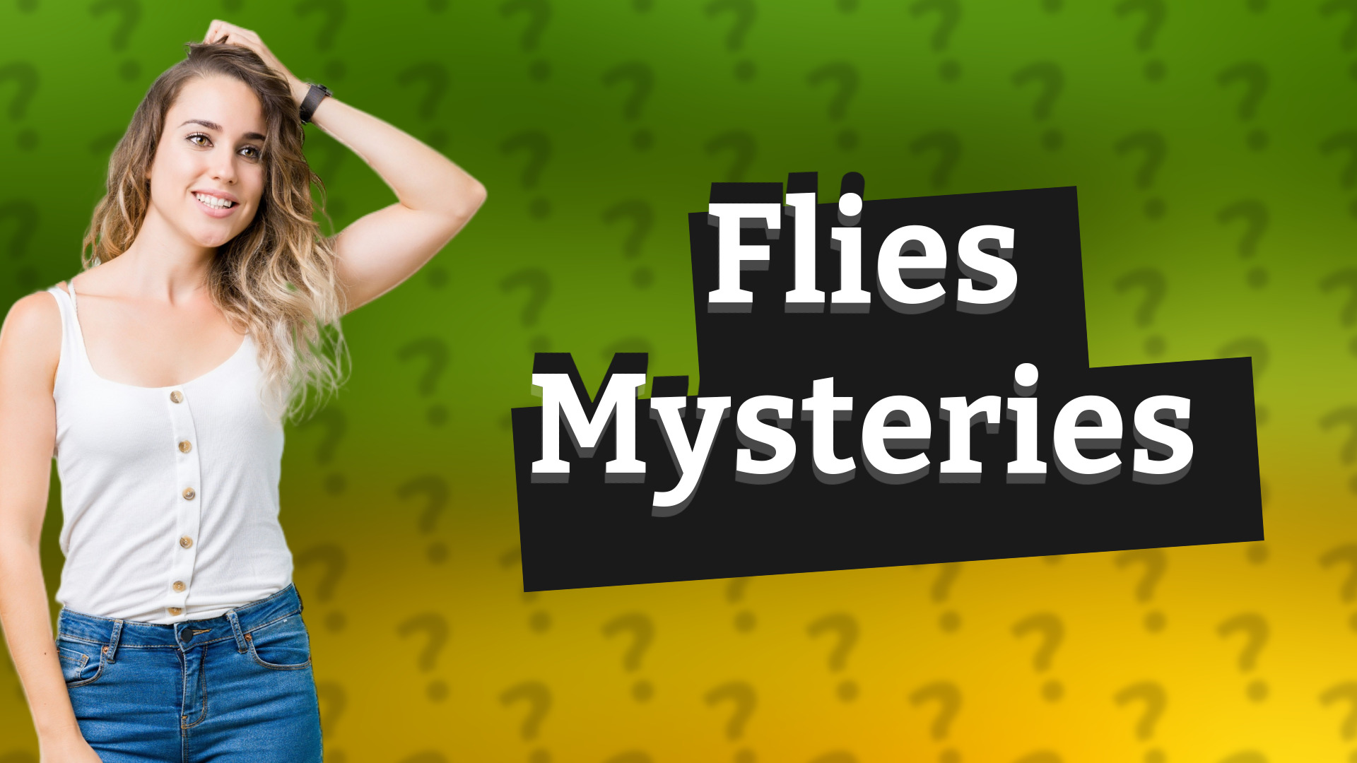 Flies Mysteries
