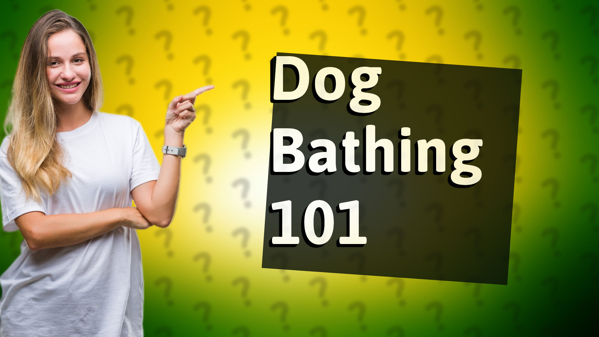 Dog Bathing 101