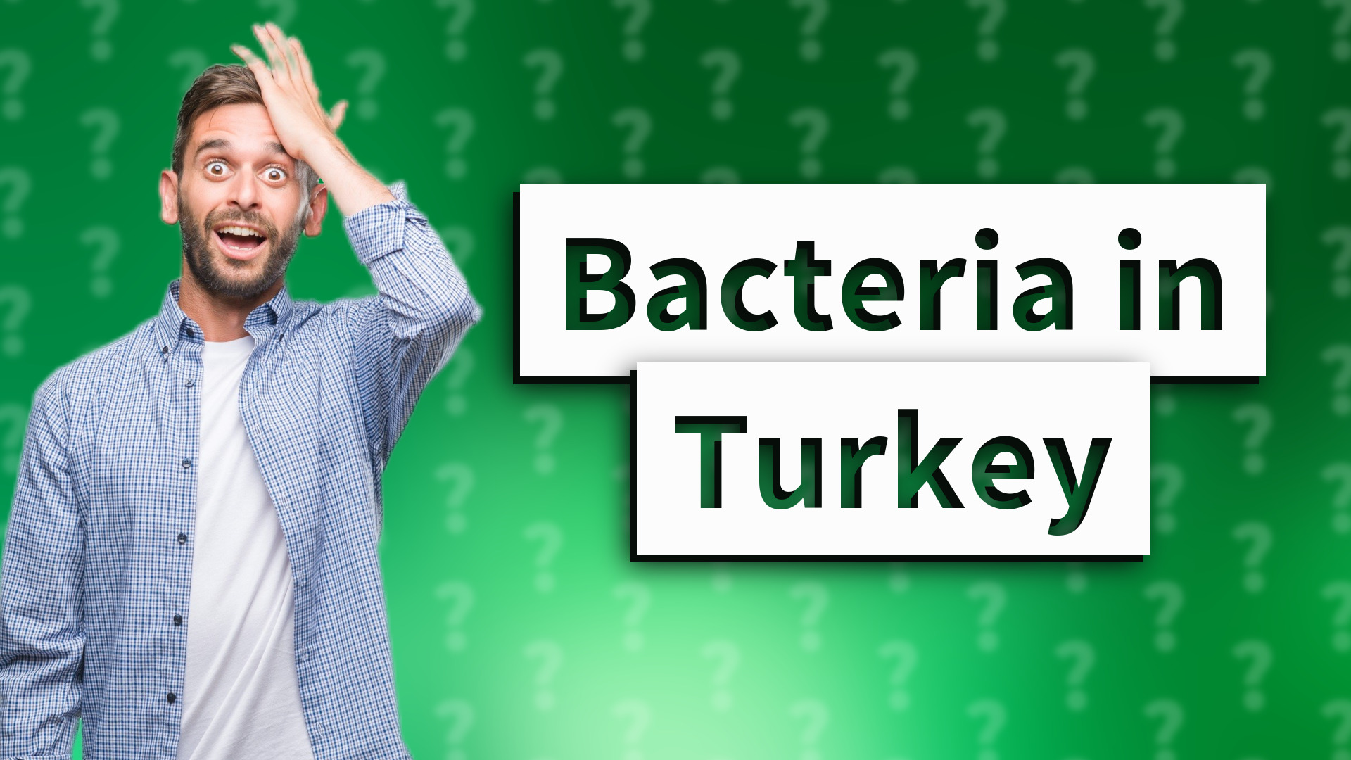 Bacteria in Turkey