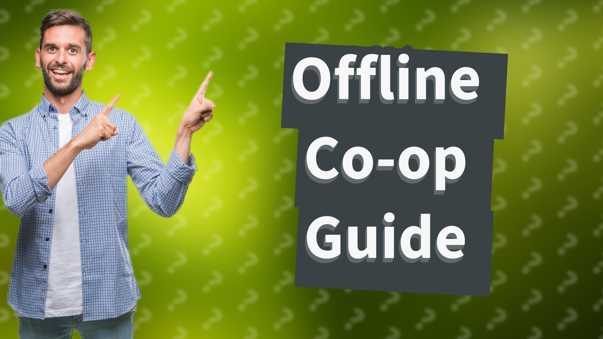 Offline Co-op Guide