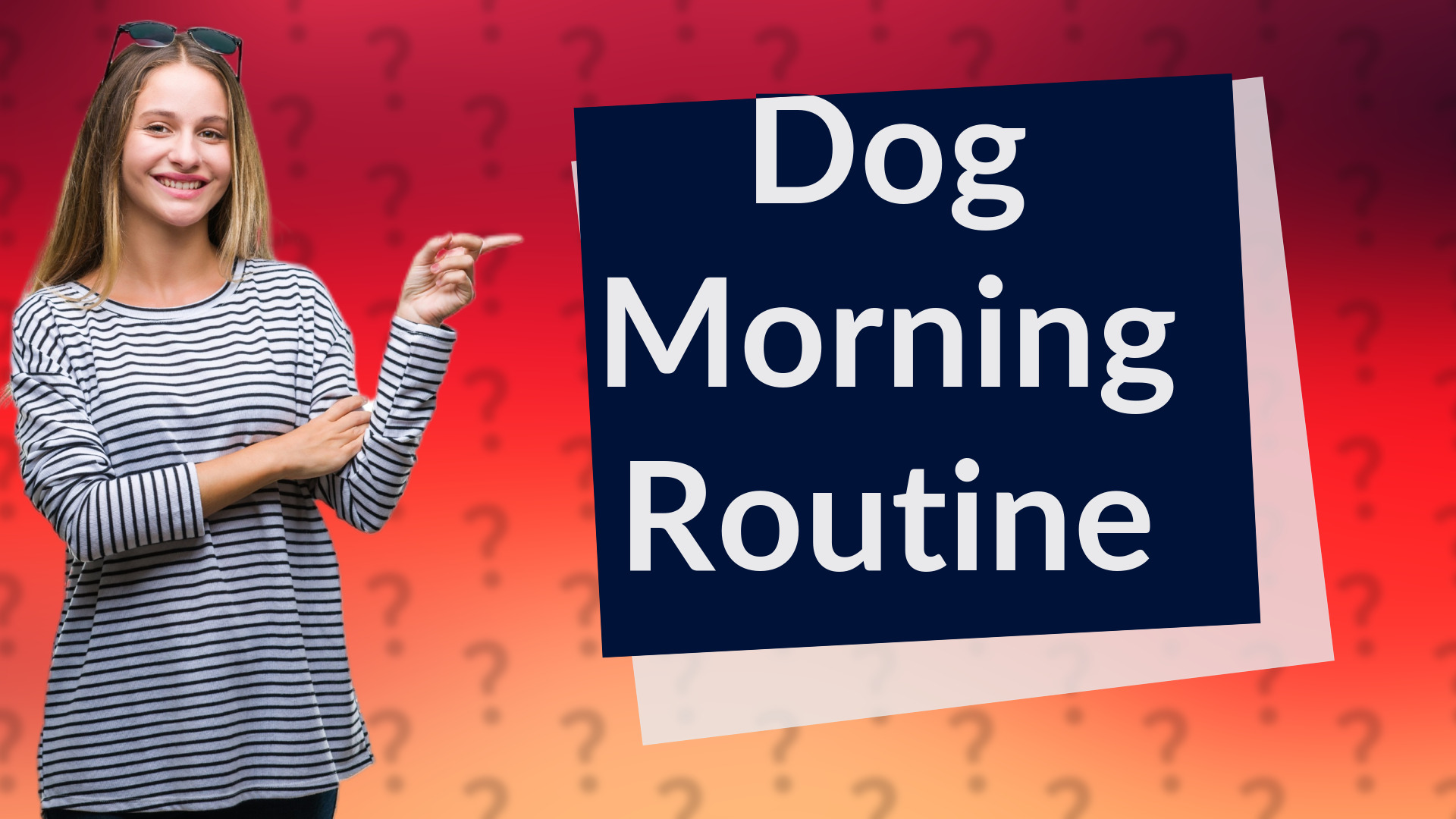 Dog Morning Routine