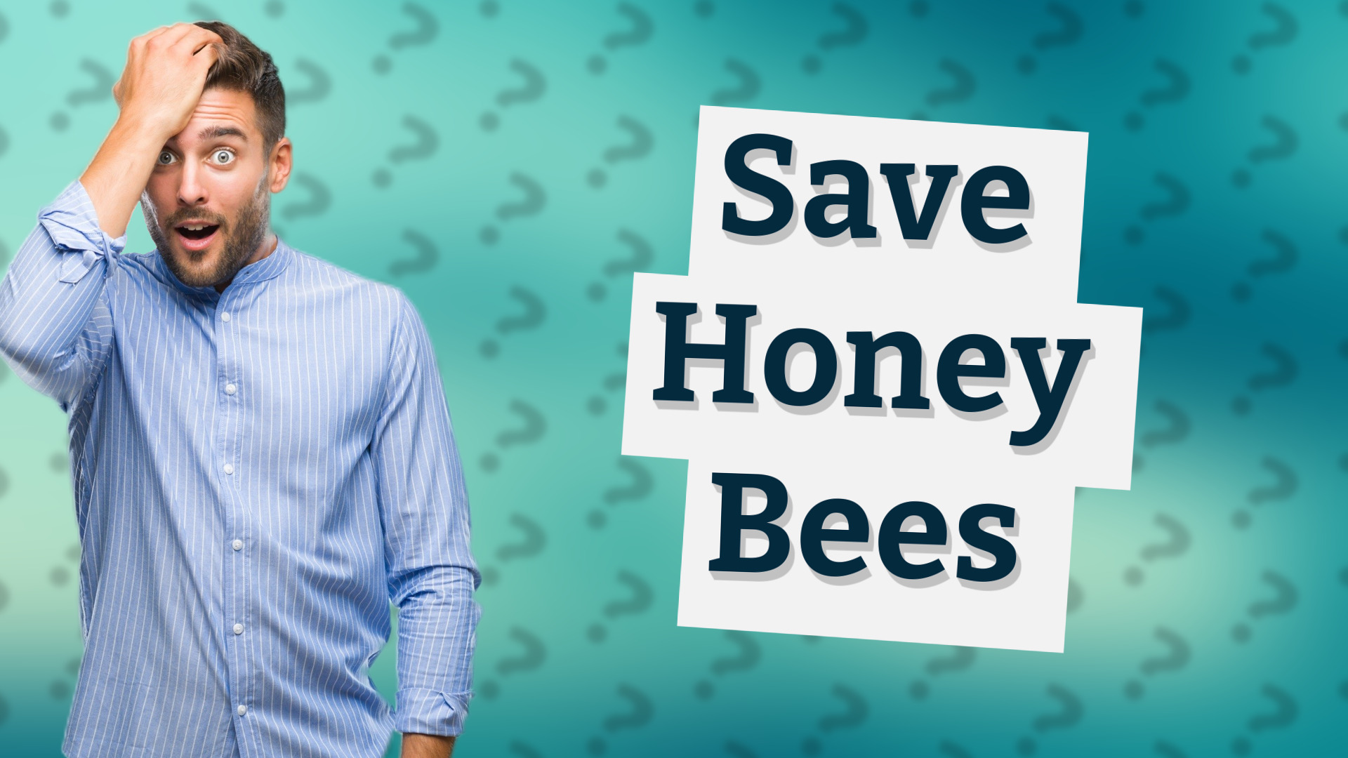 Save Honey Bees