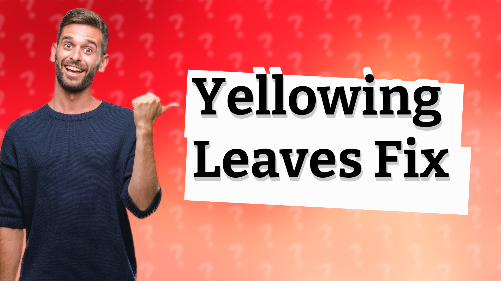 Yellowing Leaves Fix