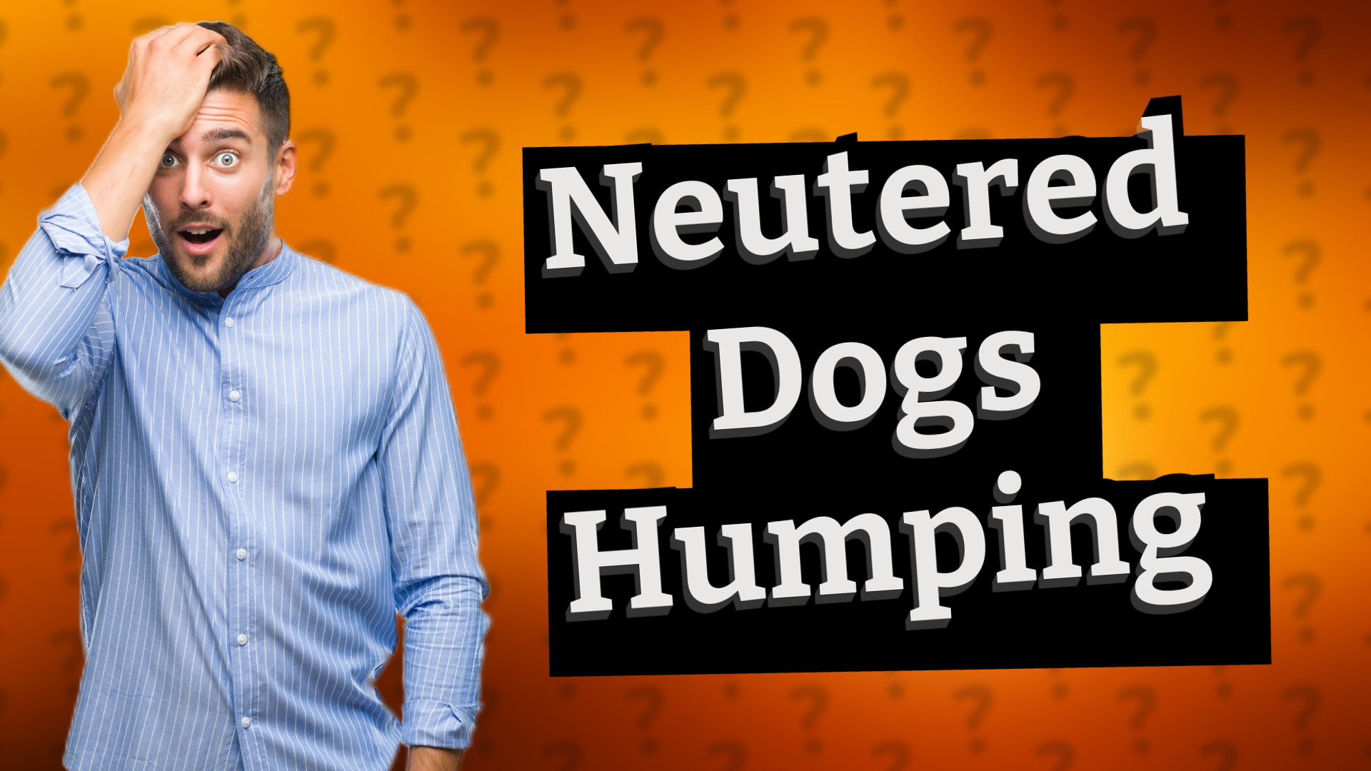 Neutered Dogs Humping