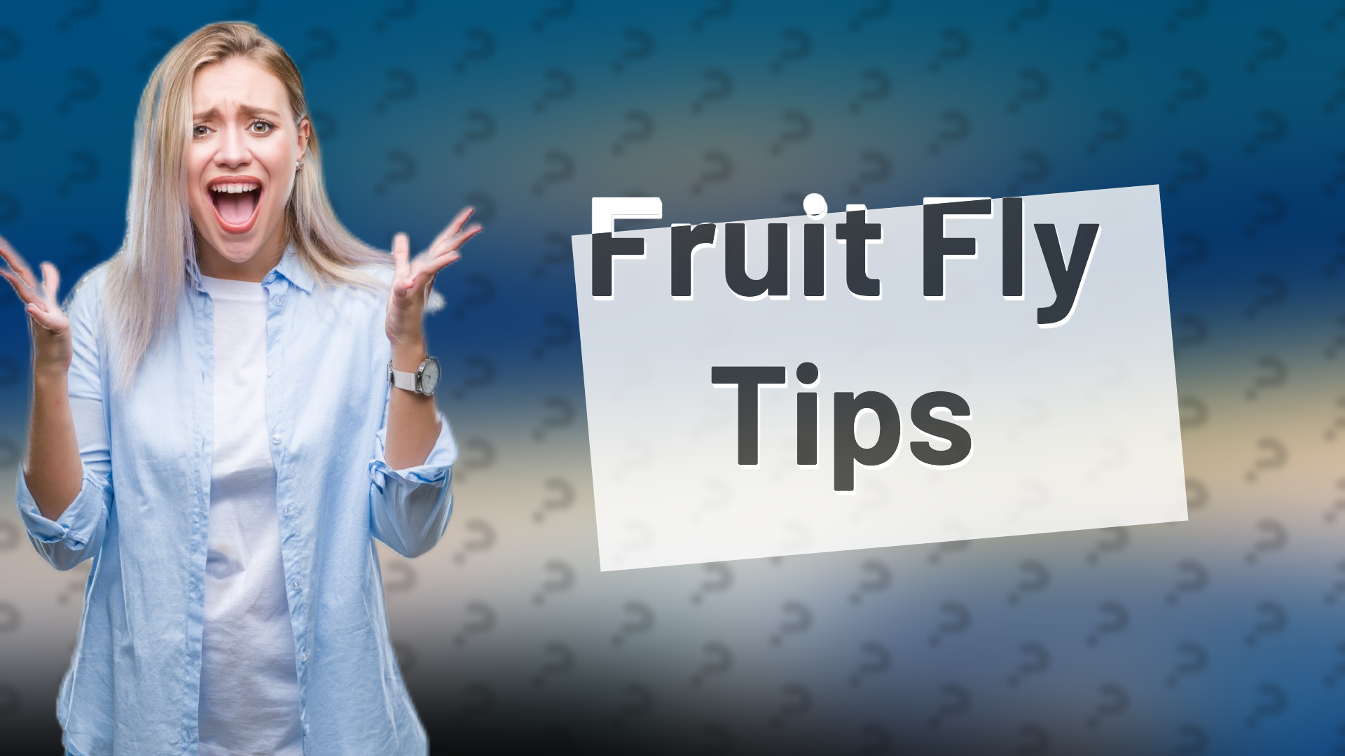 Fruit Fly Tips