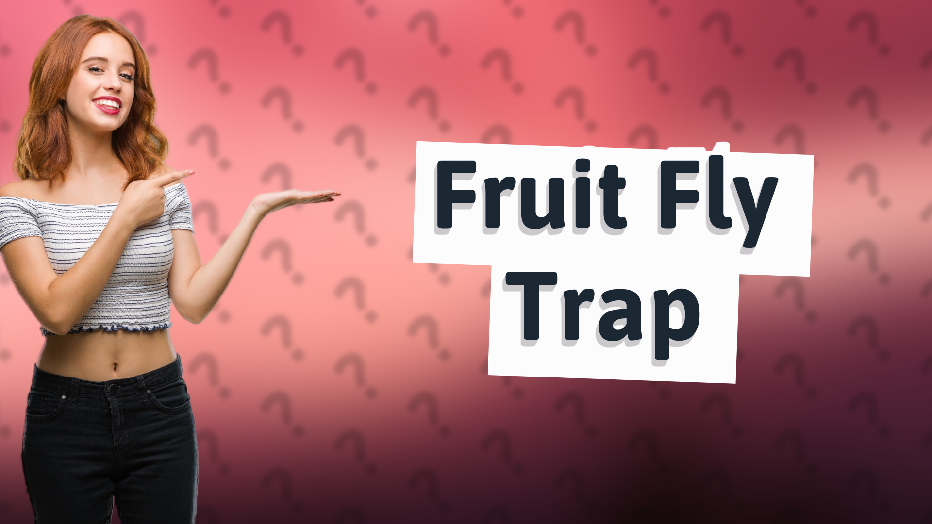 Fruit Fly Trap